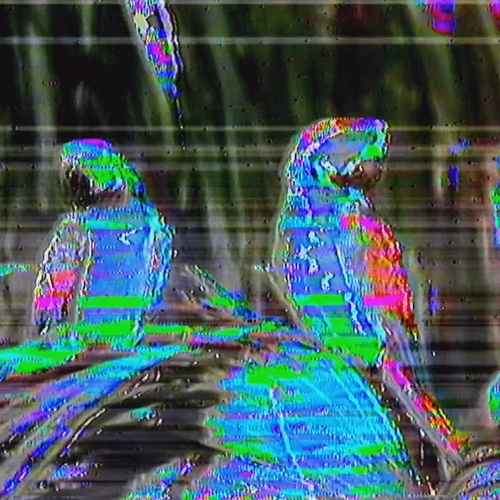vhs dream 0243