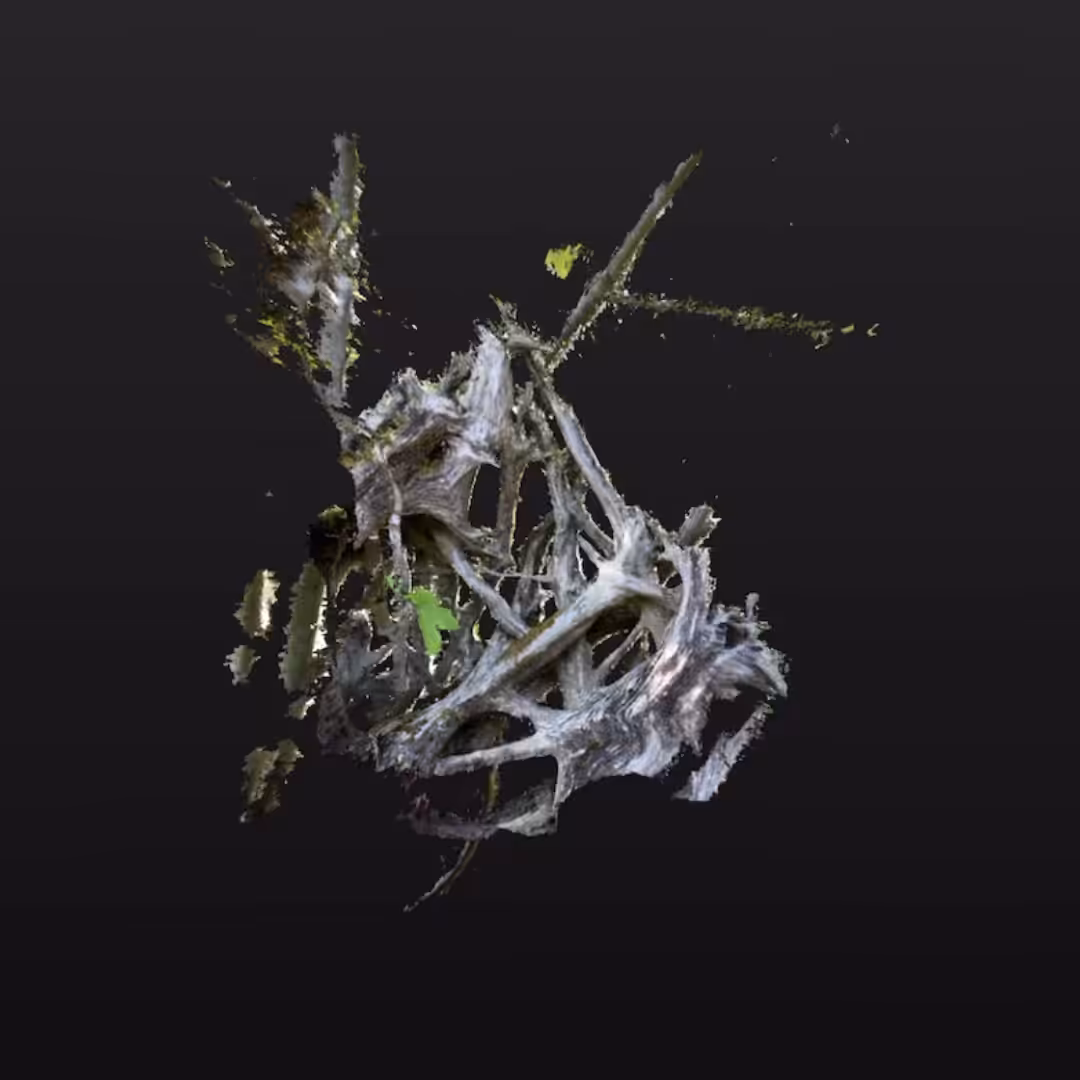 Desiccated Roots