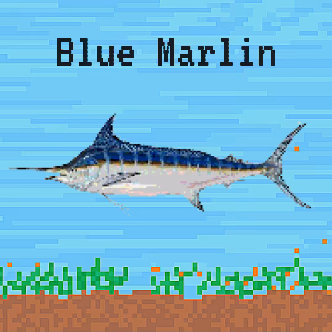 Blue Marlin