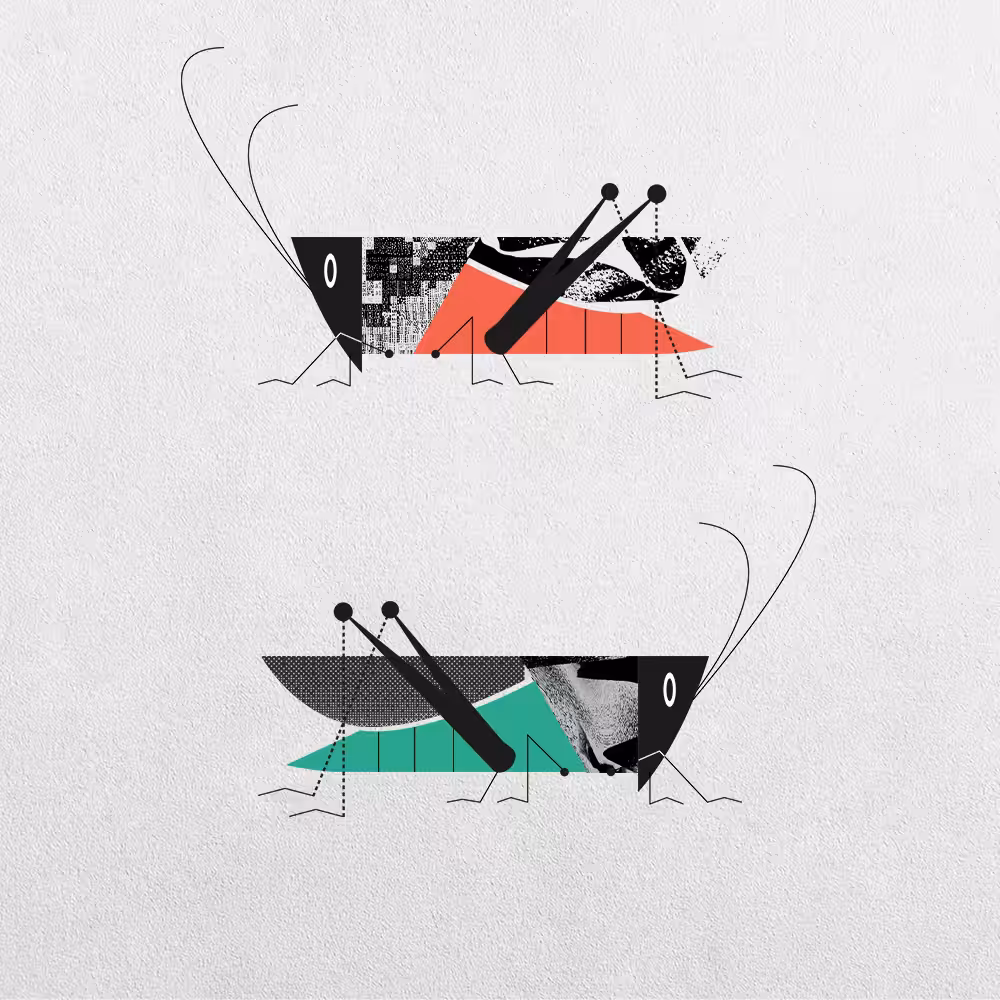 Grasshopper Abstraction #22