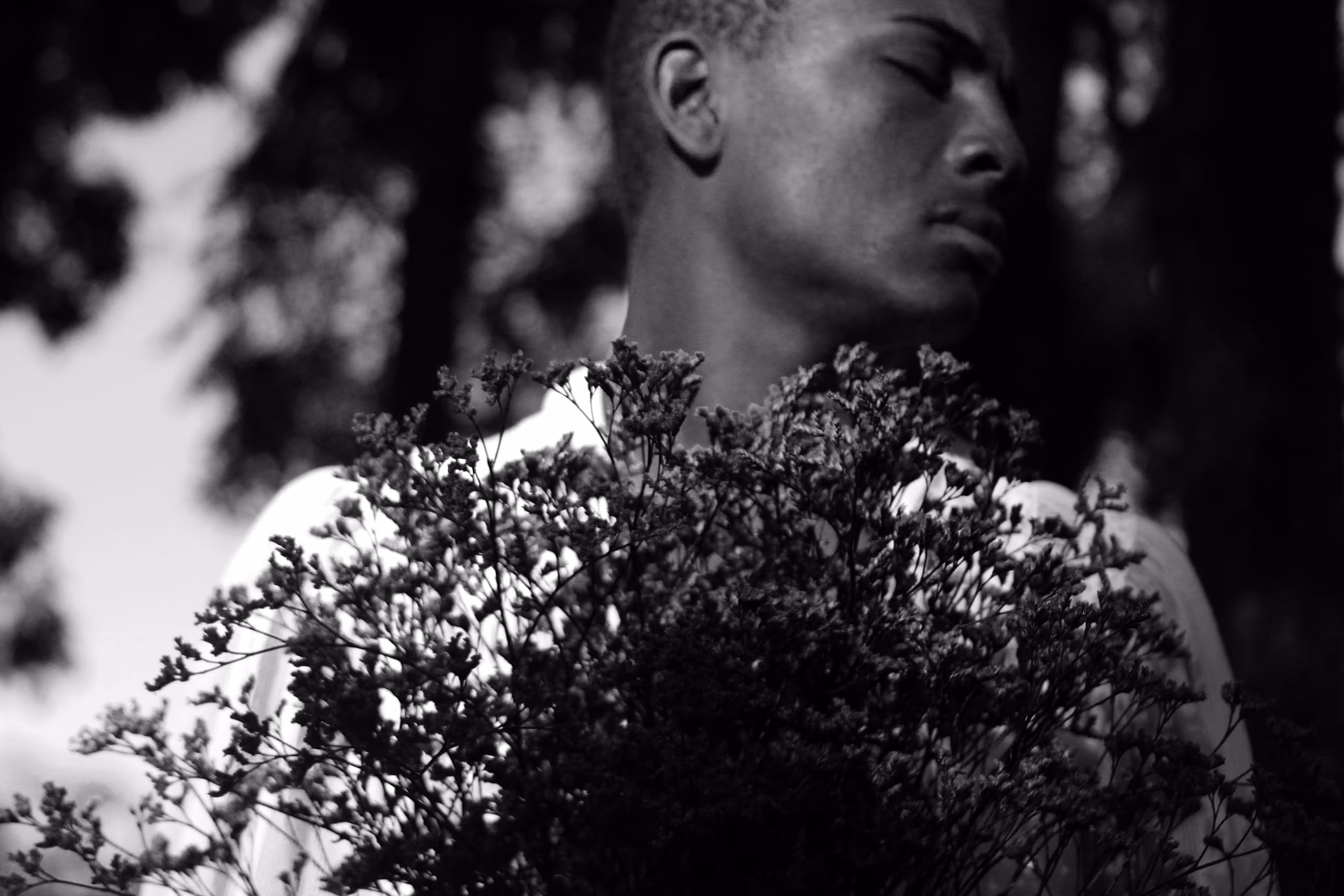Wild heart II