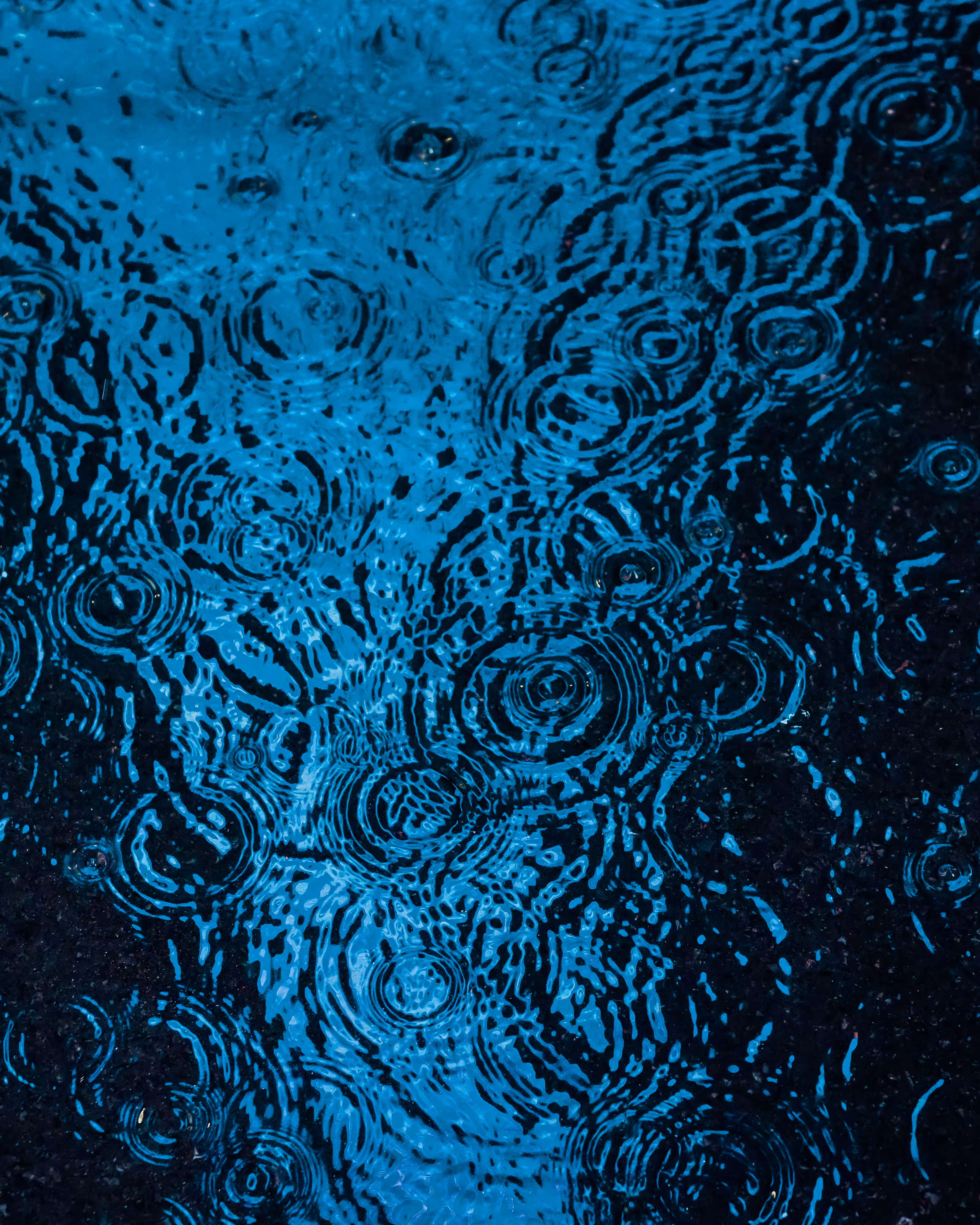 DRIP #347