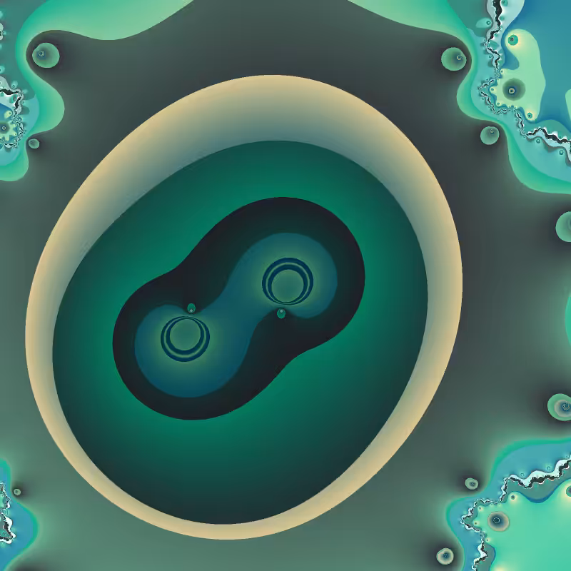 Mitosis #27