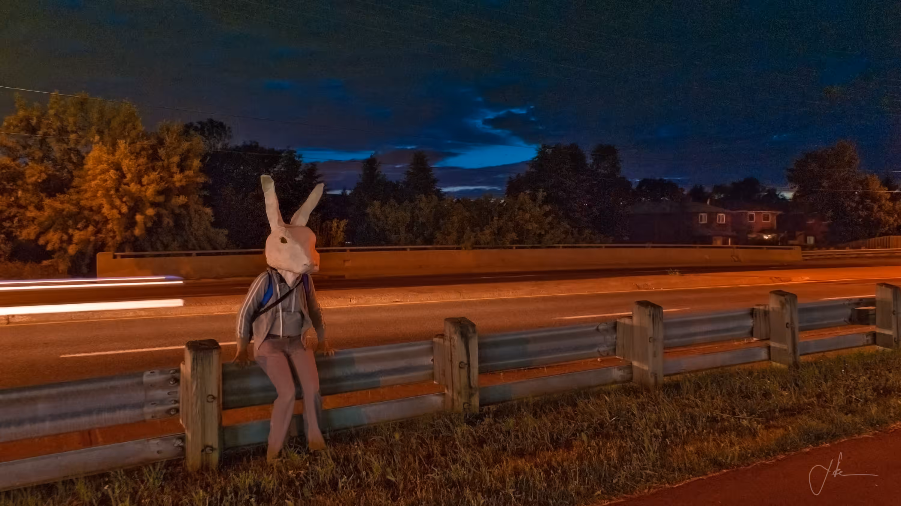 Rabbit Hour