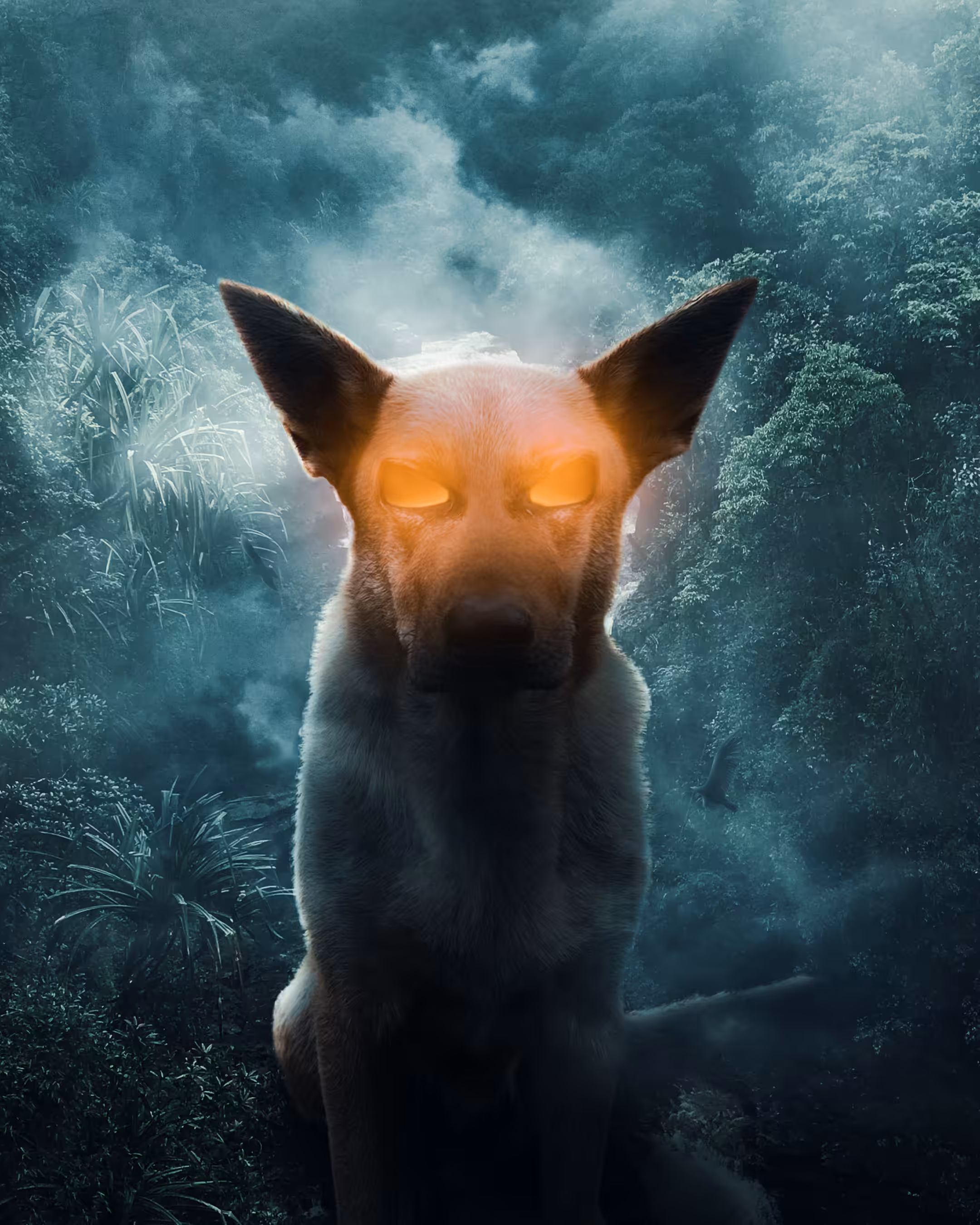 THE HOUND