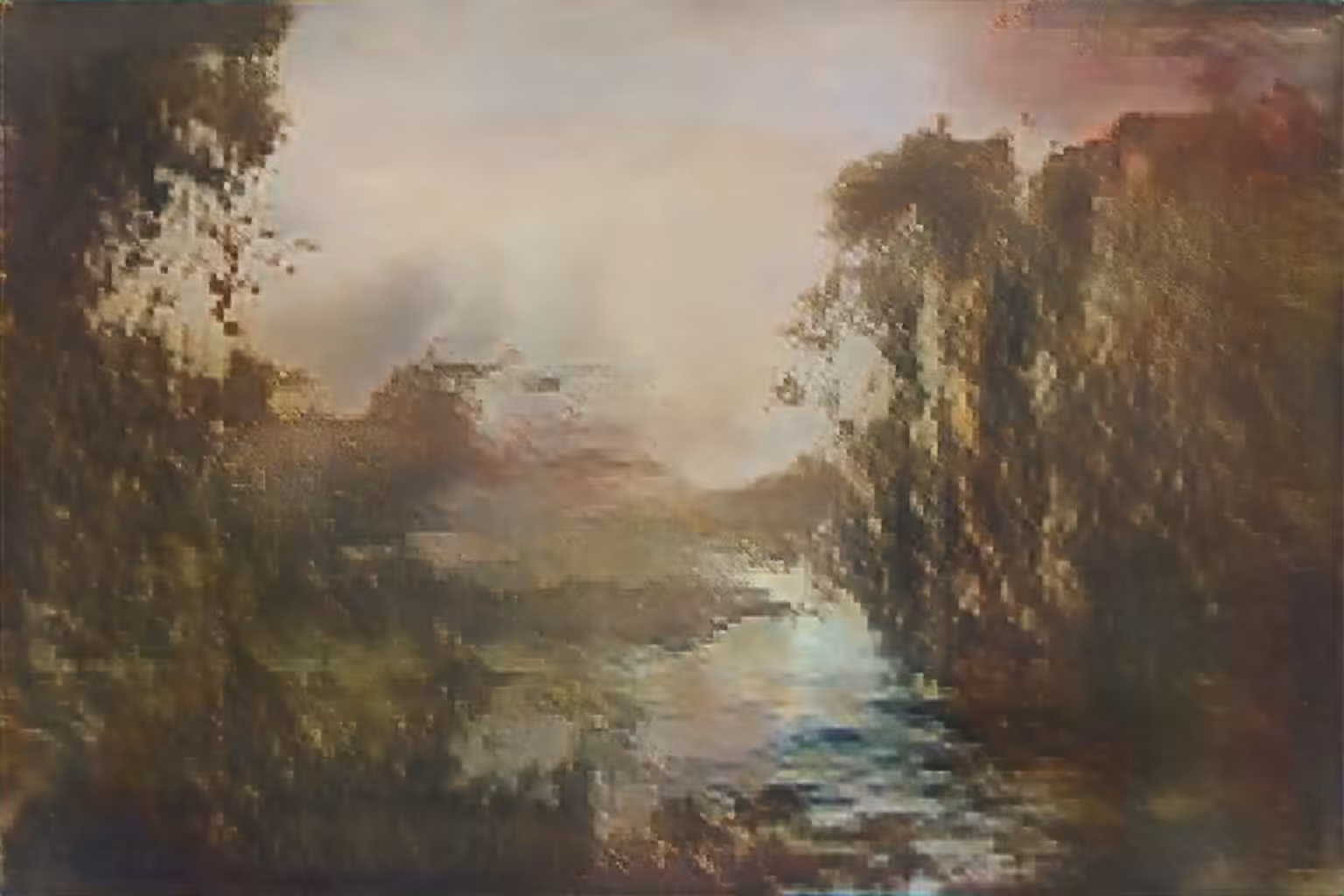 The Canopy's Gift