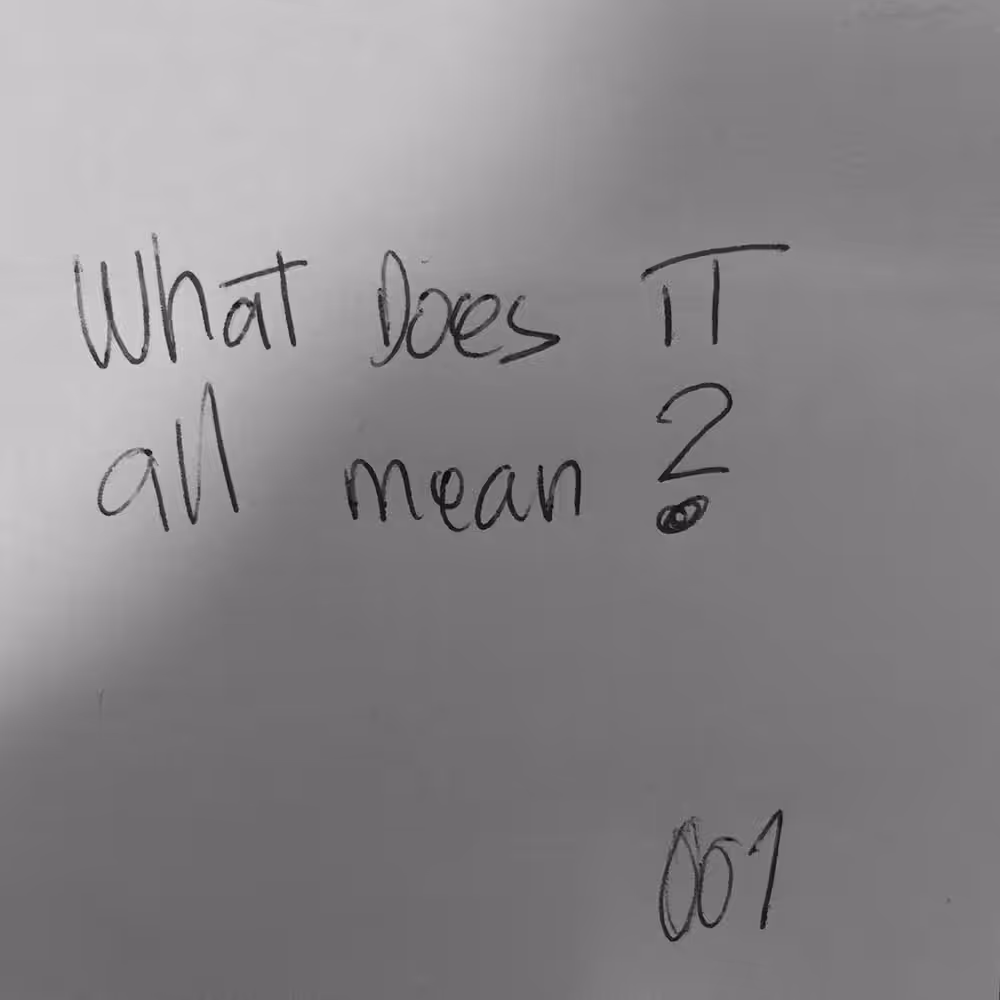 001: what does it all mean?