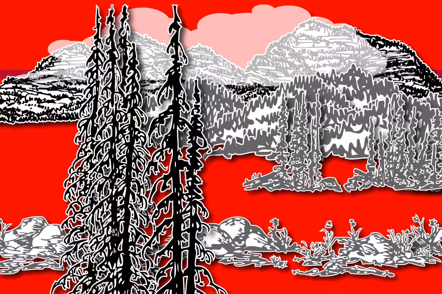 Wild Paper Road #19