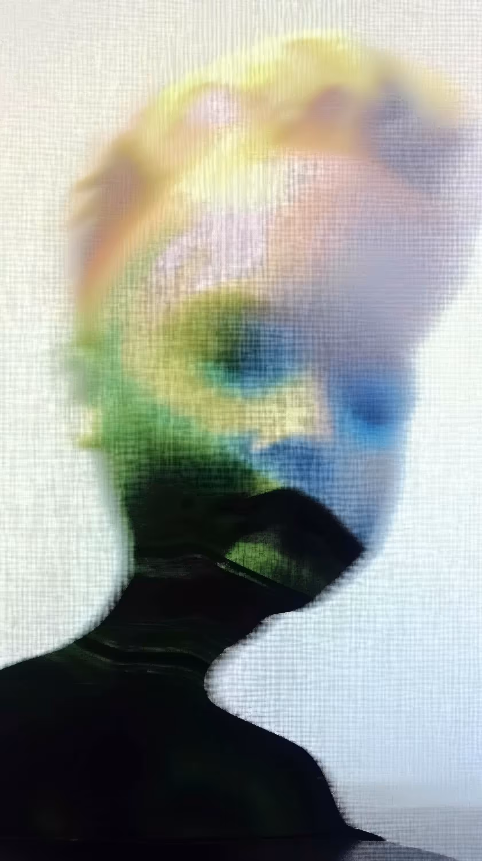 Ossagrosse - Downscale #30