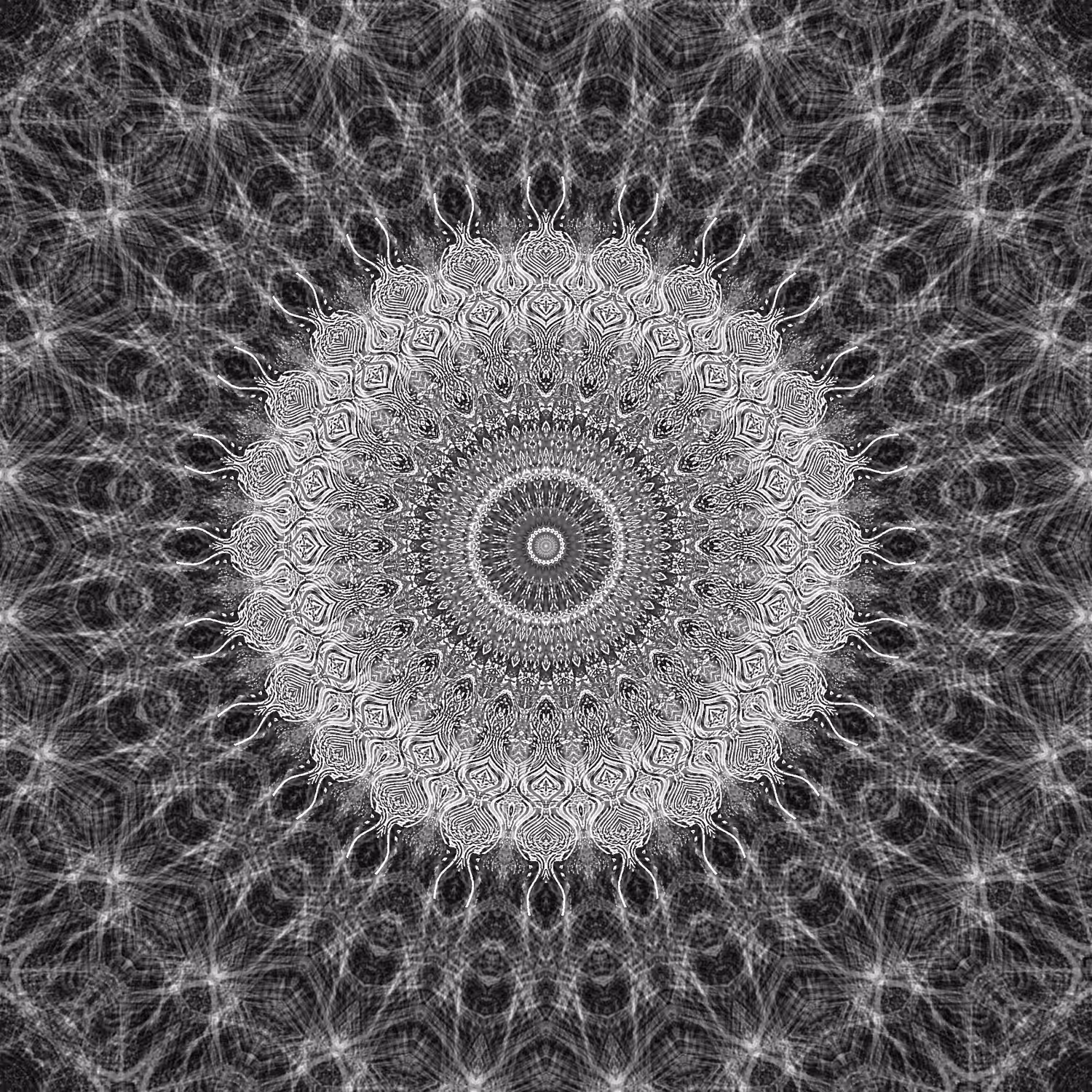 orbital warp 26