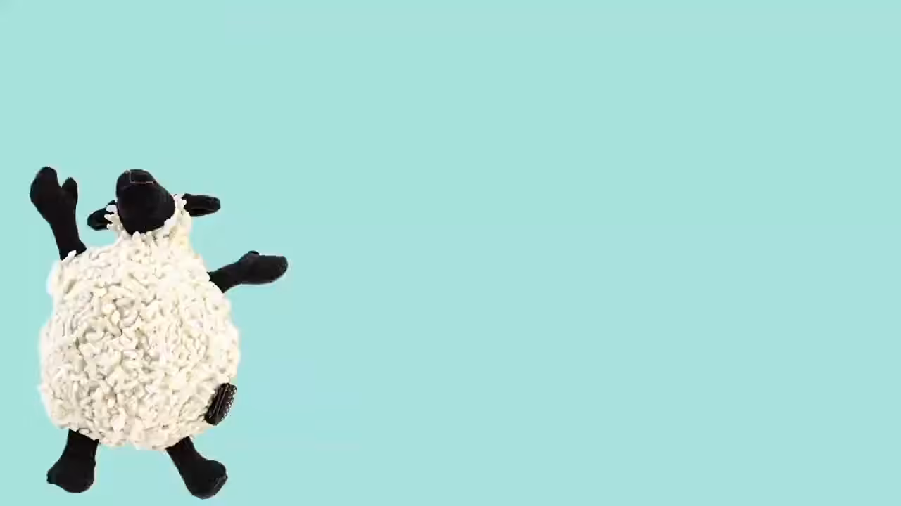 Sheep meets Dog