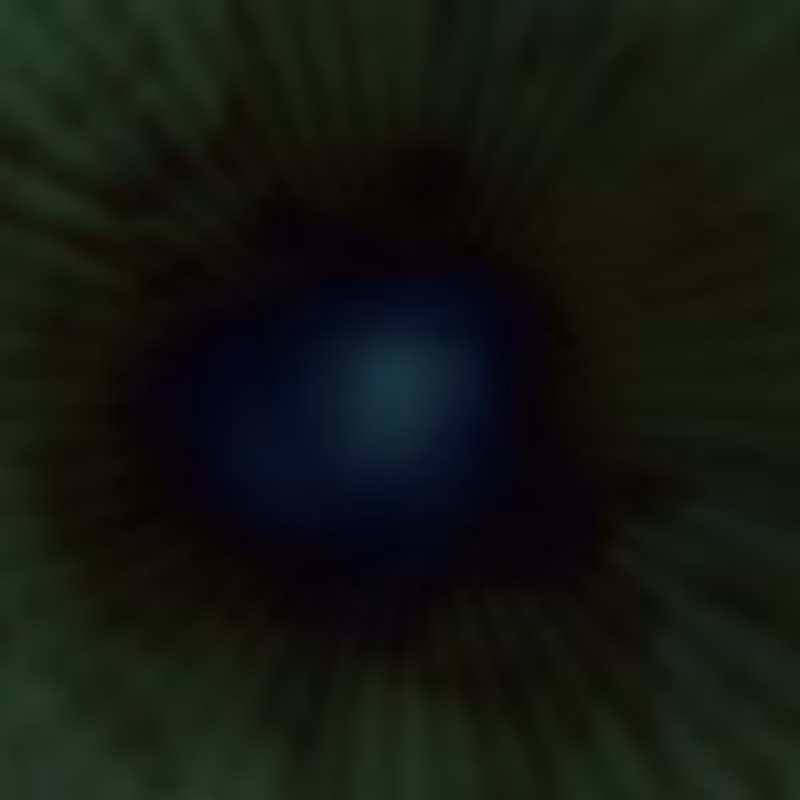 alter me/ #5