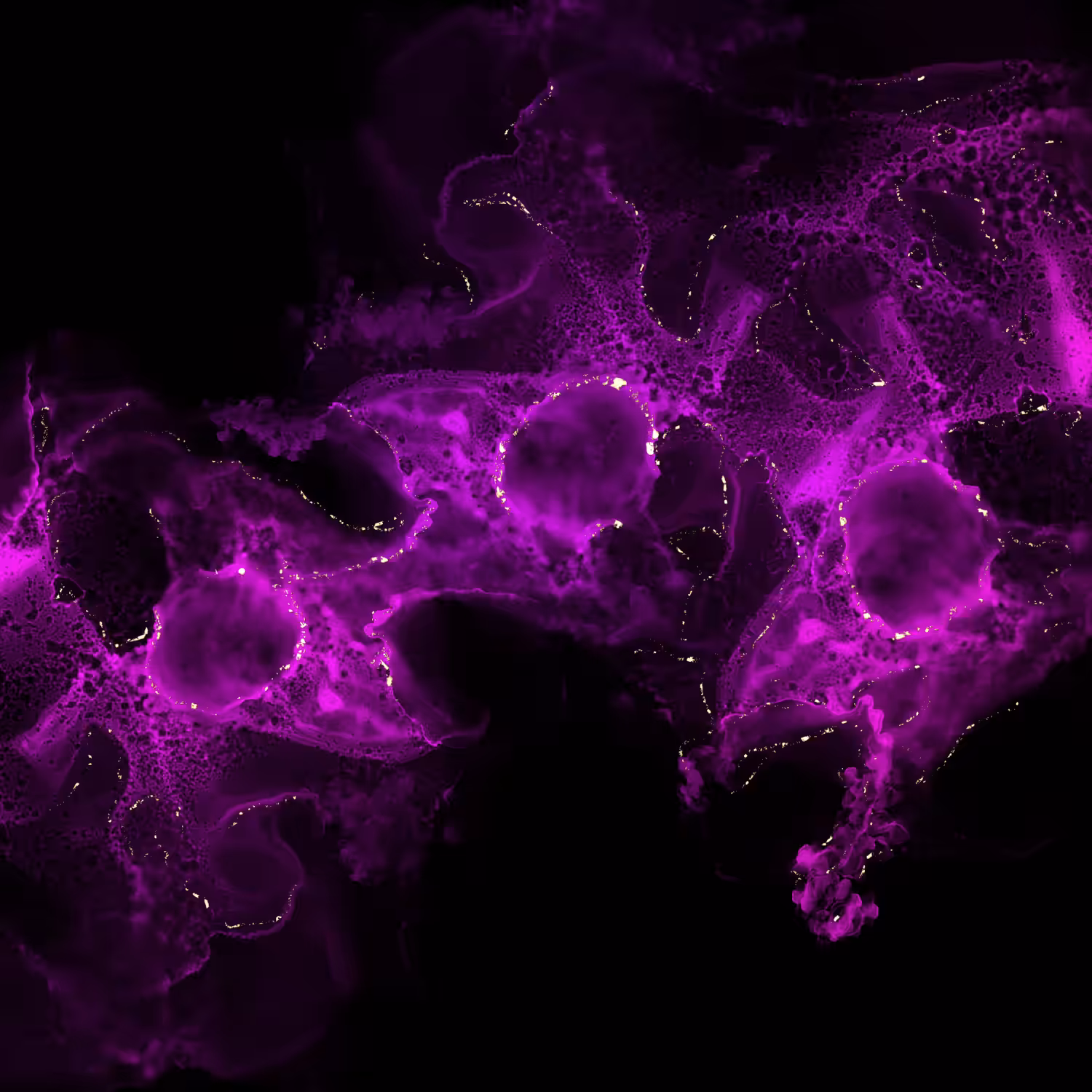 Flow Motion #7