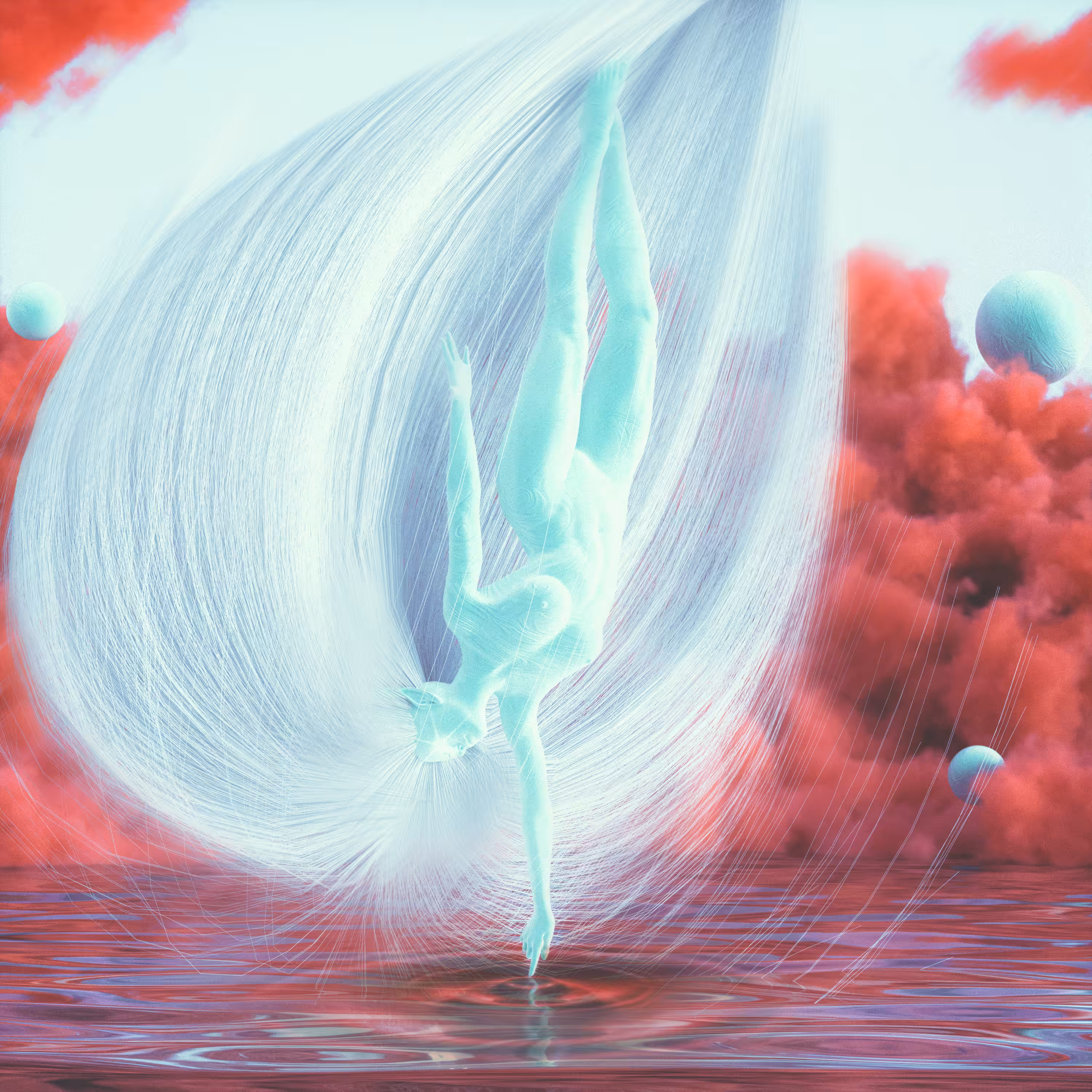 [ ANGEL DIVE ]