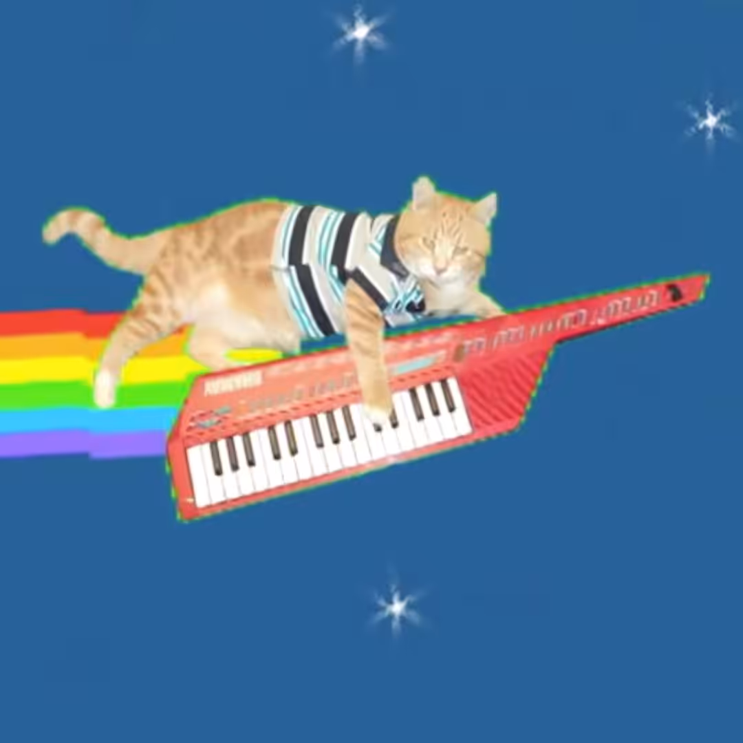 Nyan-board Cat