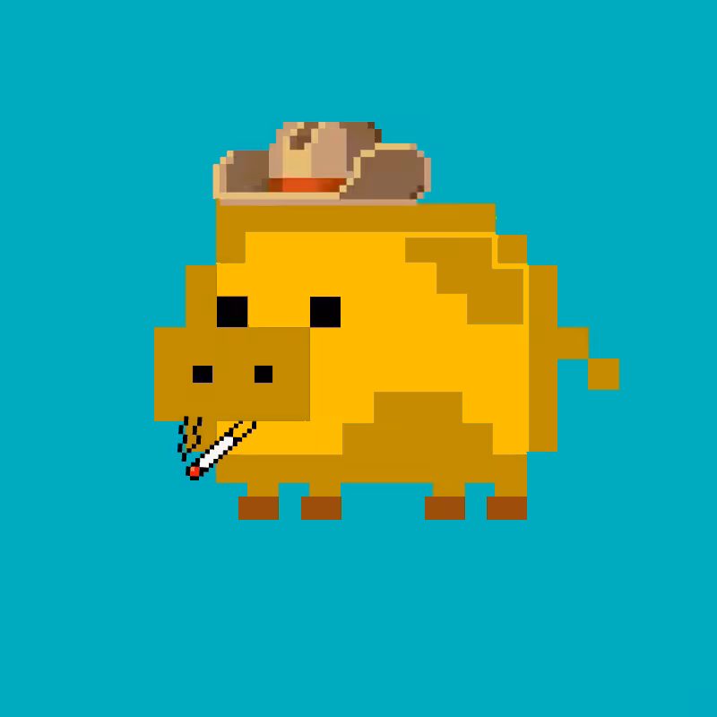 CryptoPig #12