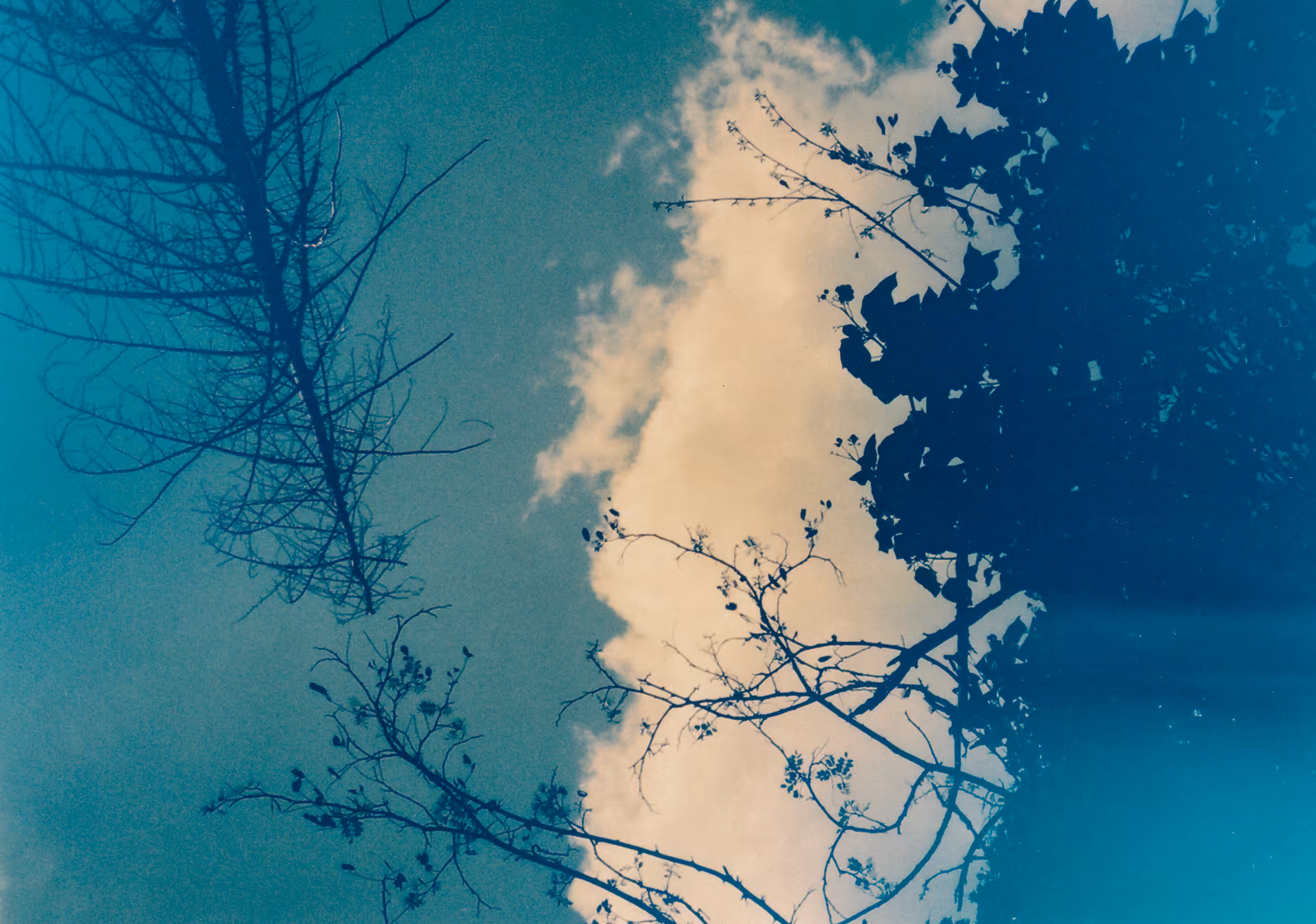 Some Kind of Blue