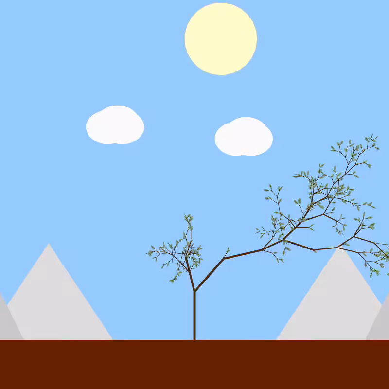 From seedling to tree #37