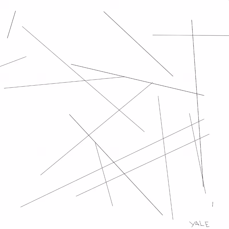 Lines #3