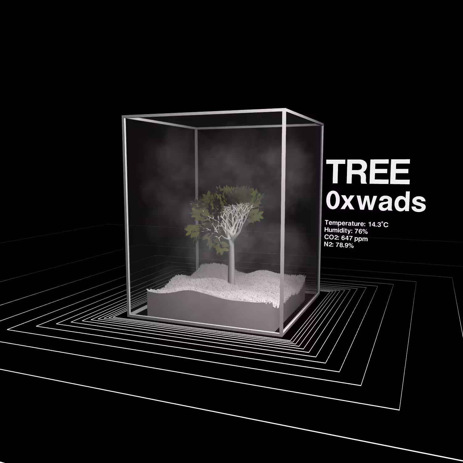 TREES #12