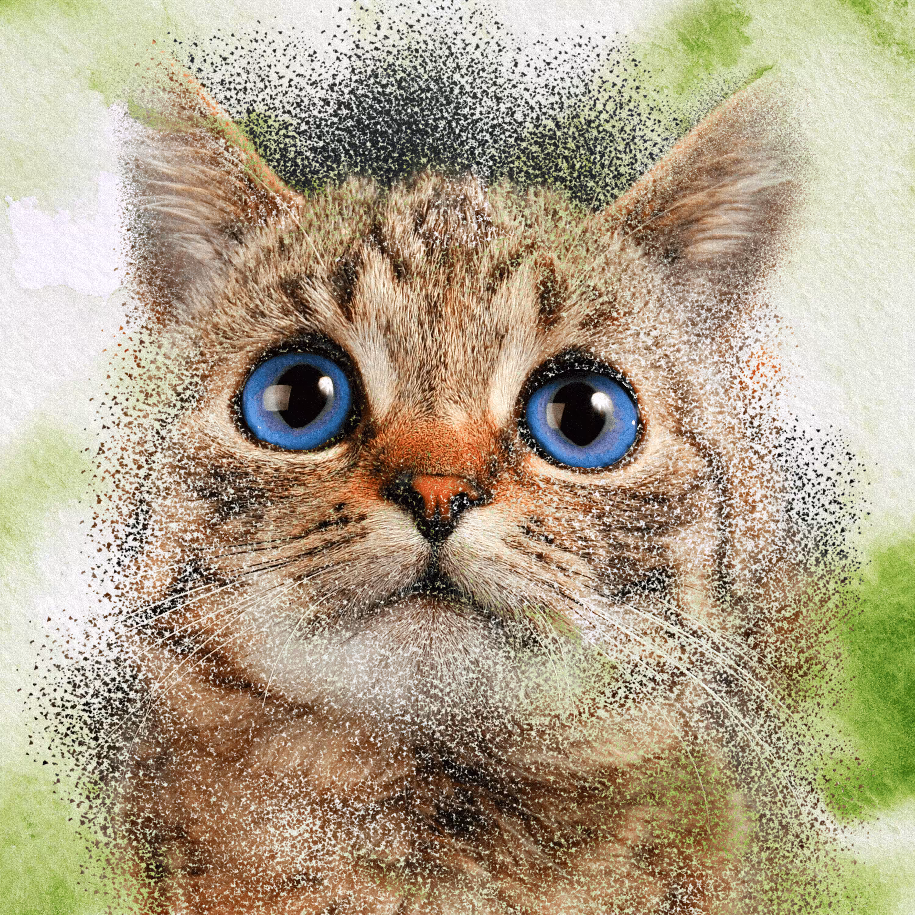Moji the Run Away Cat
