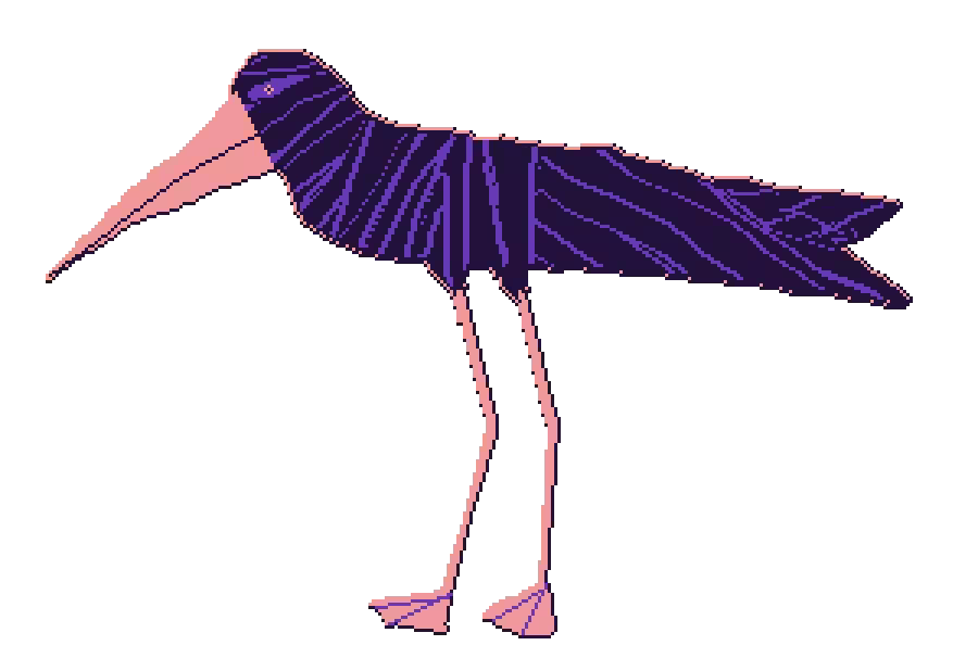 bird #10