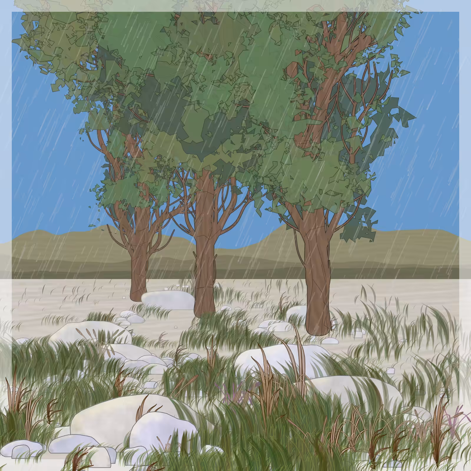 Rain Ritual #63
