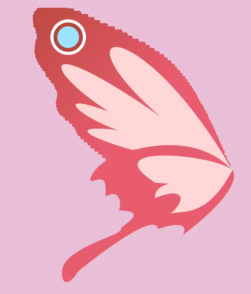 butter+fly #5