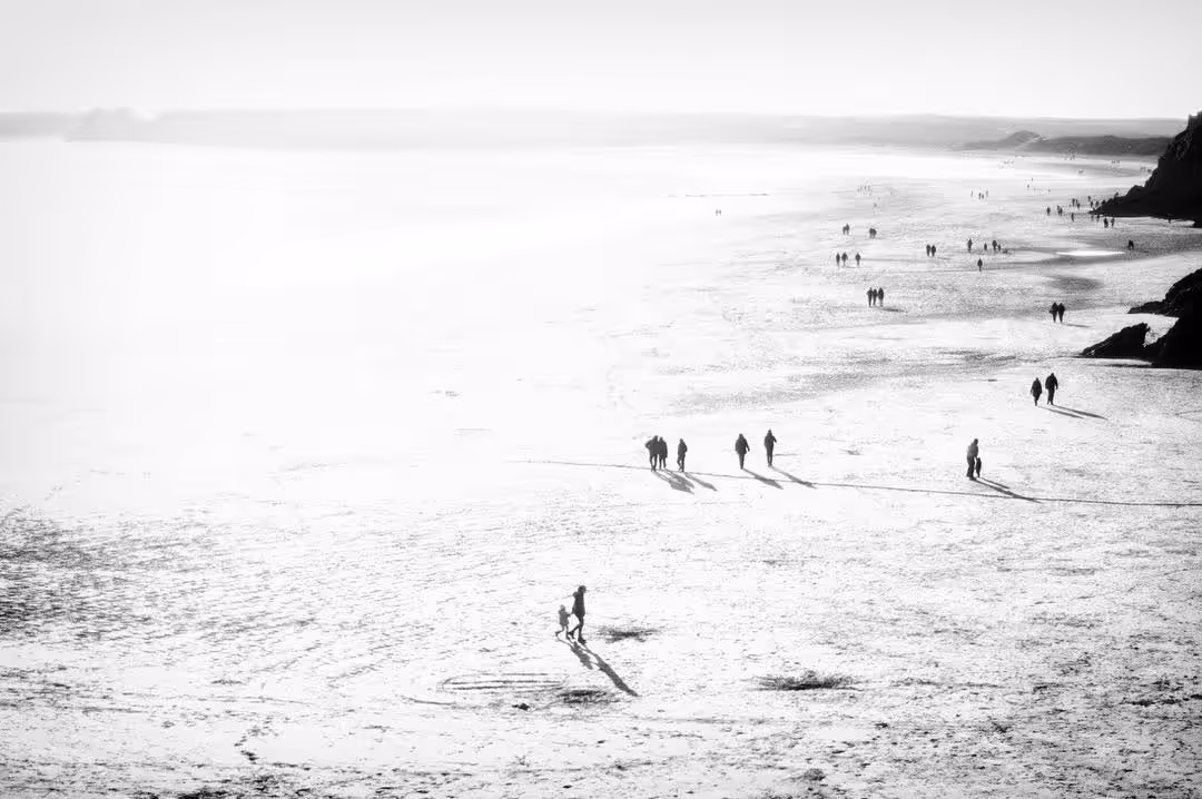 Monochrome Dreamscape