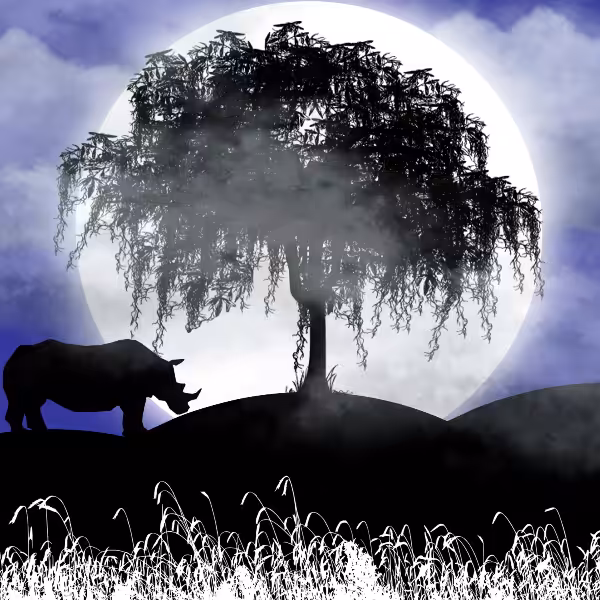 Moon and Life #4