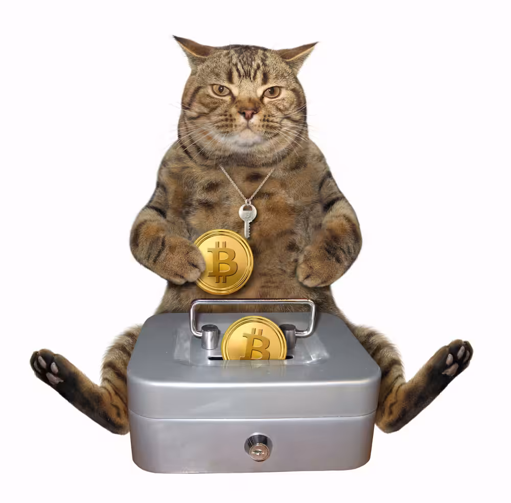 The Rich Cat