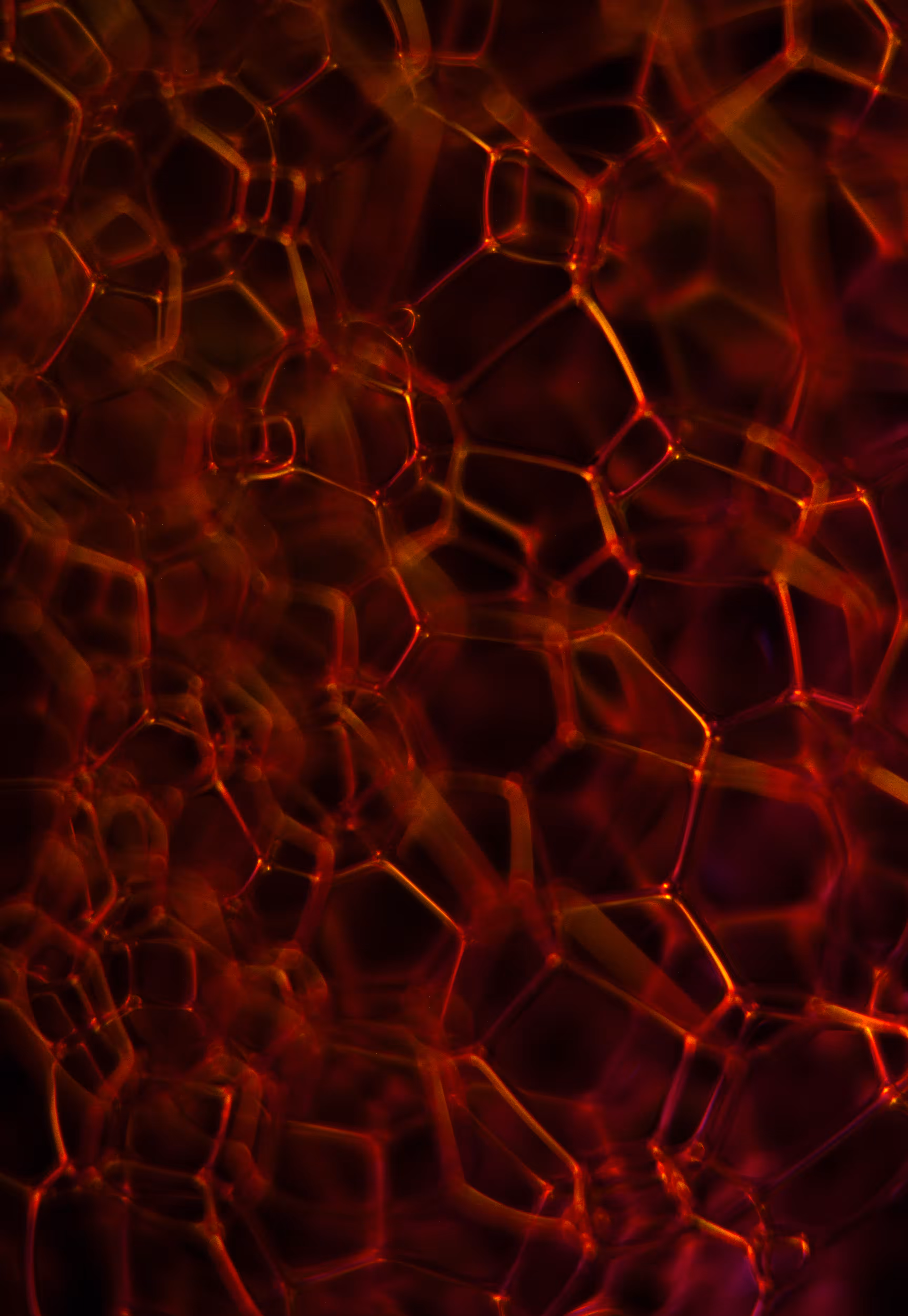 Abstract World of Soap Bubbles: #84 Bubbles