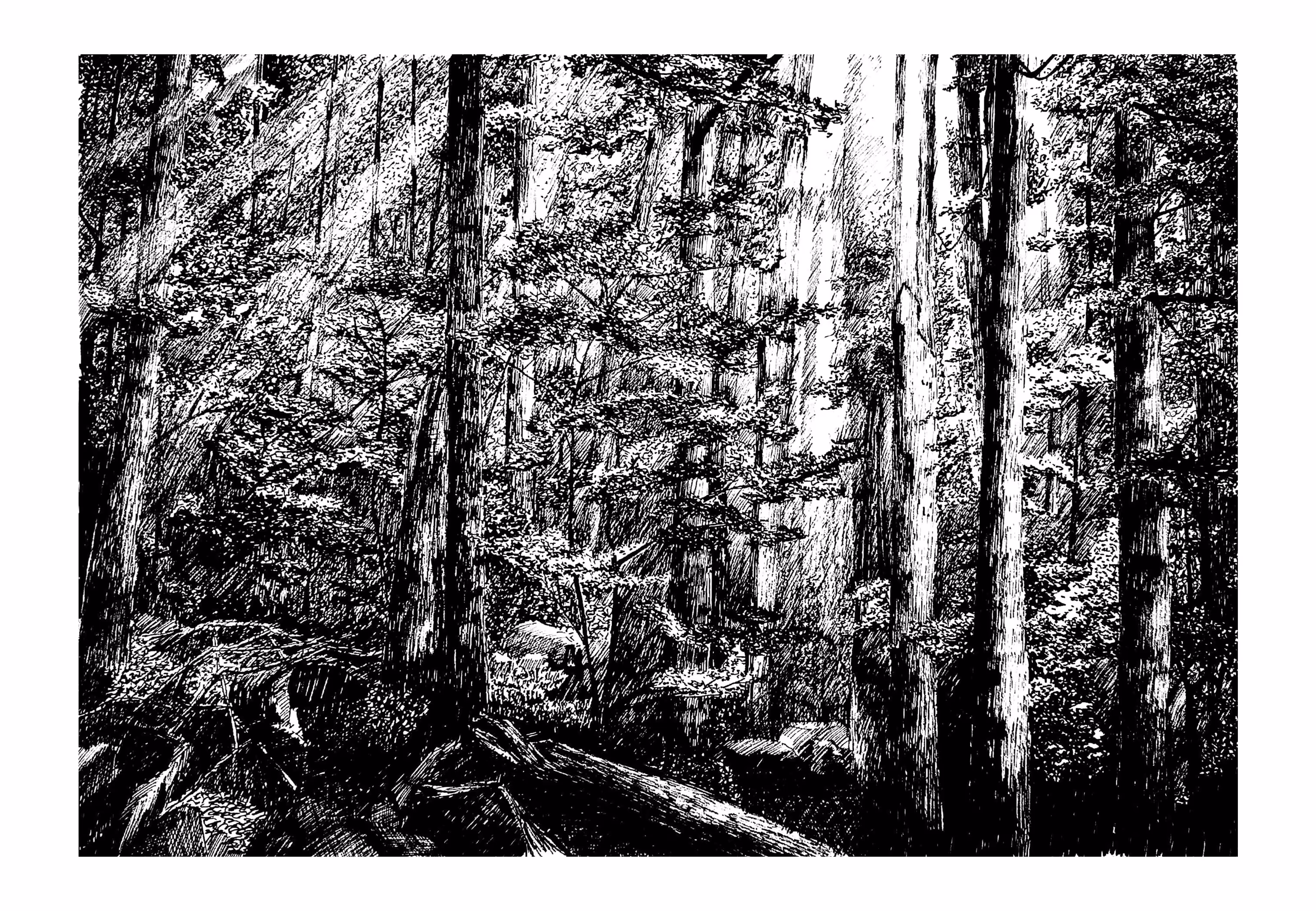 Premium Freehand Drawing 01