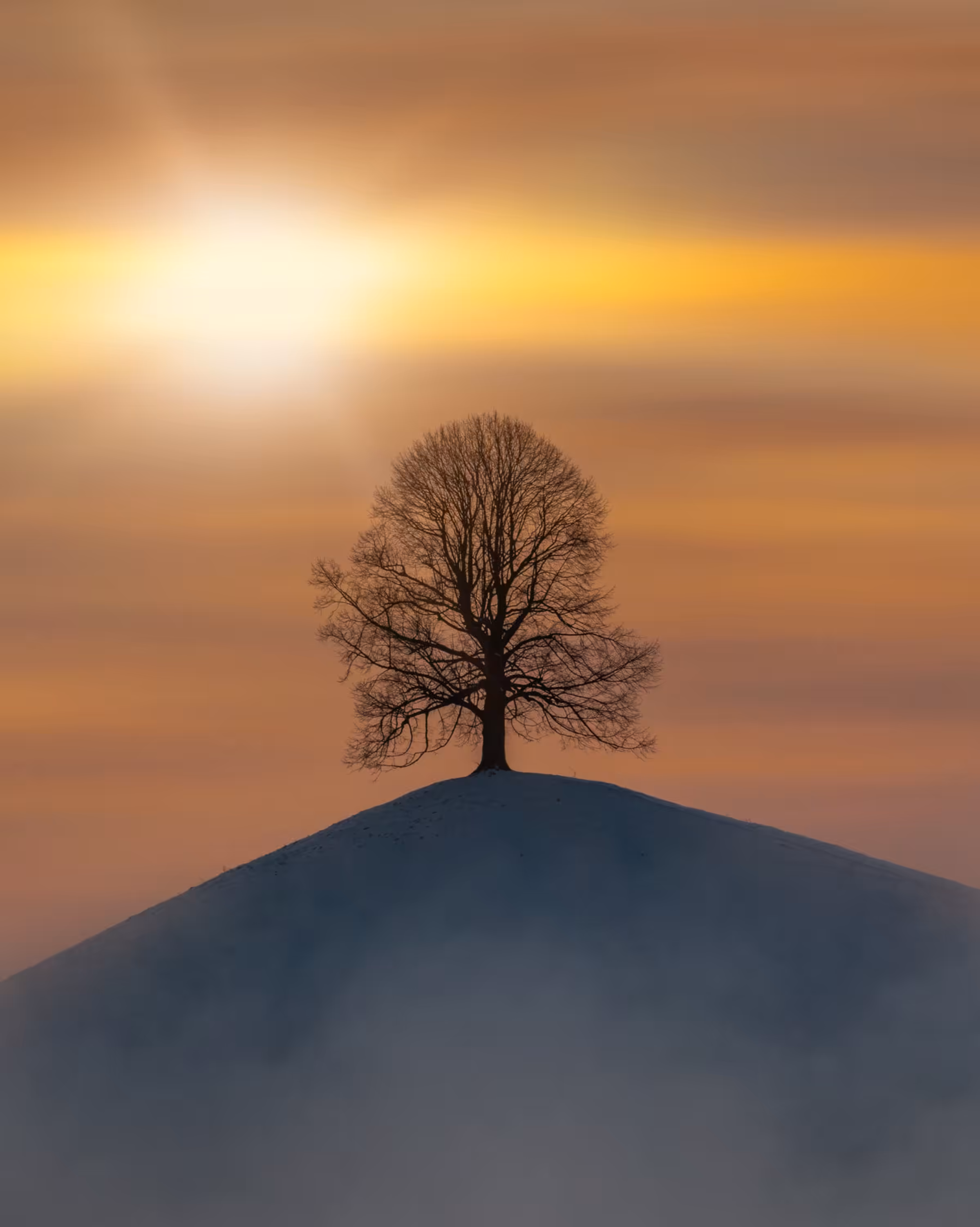 Alpine Lights - Symbol #18