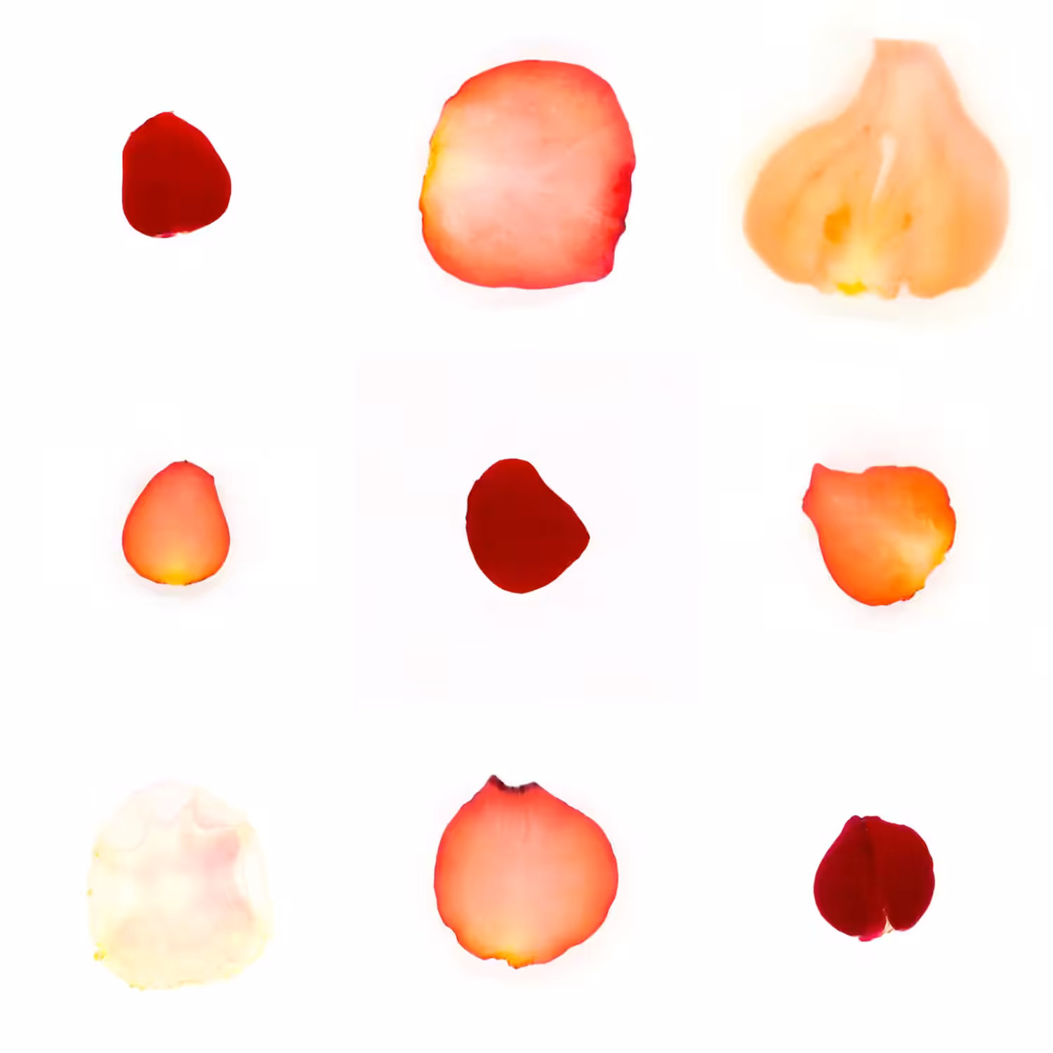 Infinite Petals 3x3#146
