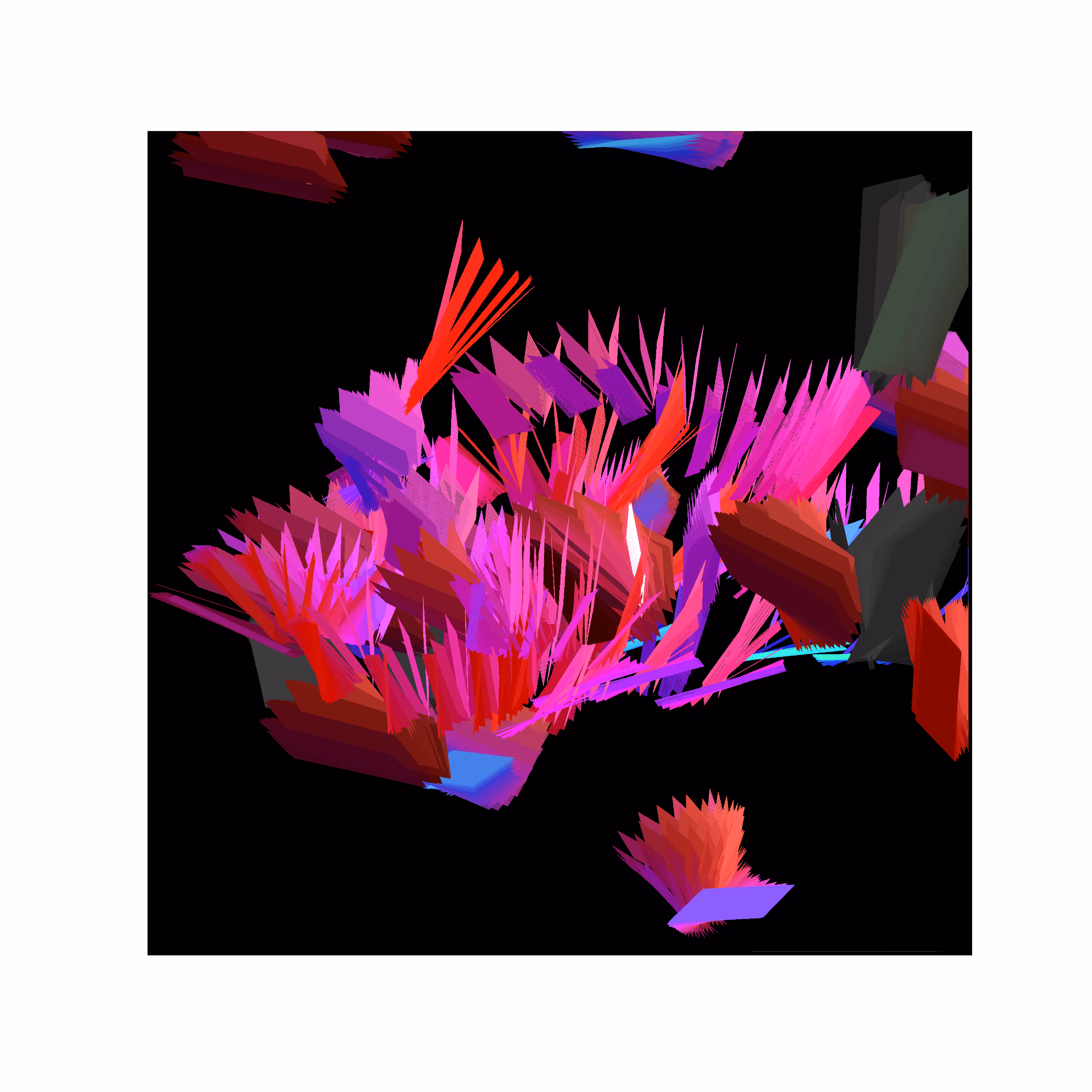 Coral (2)
