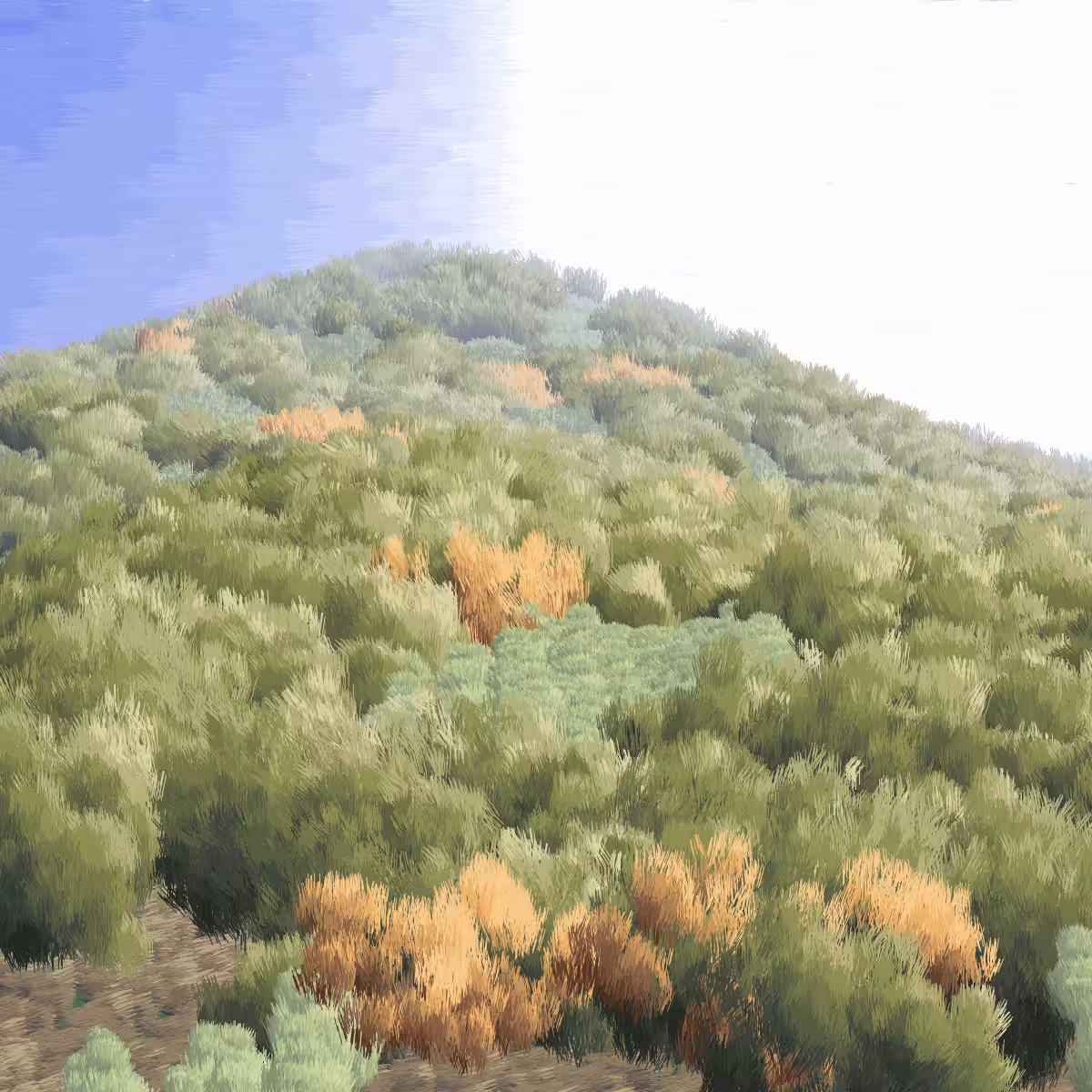 Provence #282