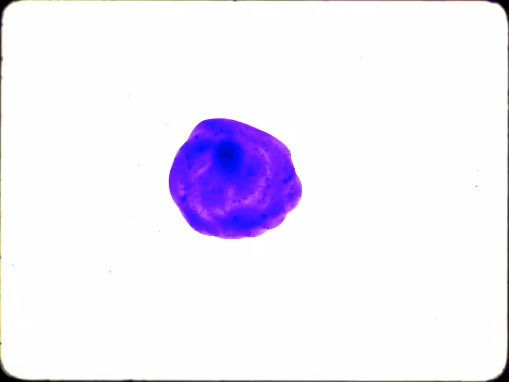 Purple Dot Test