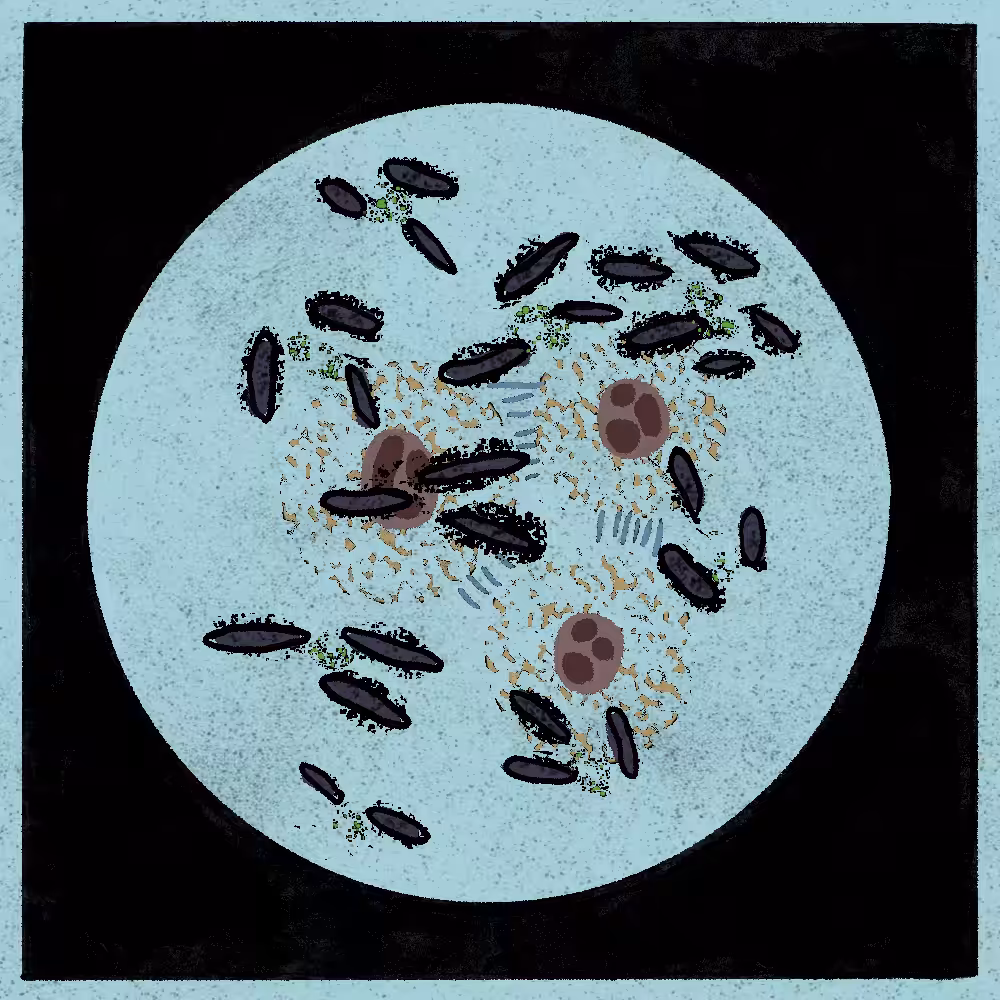 Microbes #13