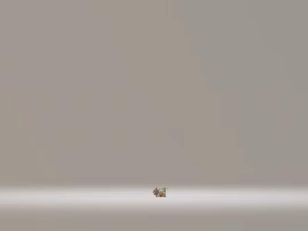 S0R1N4 G4RD3N P4SS