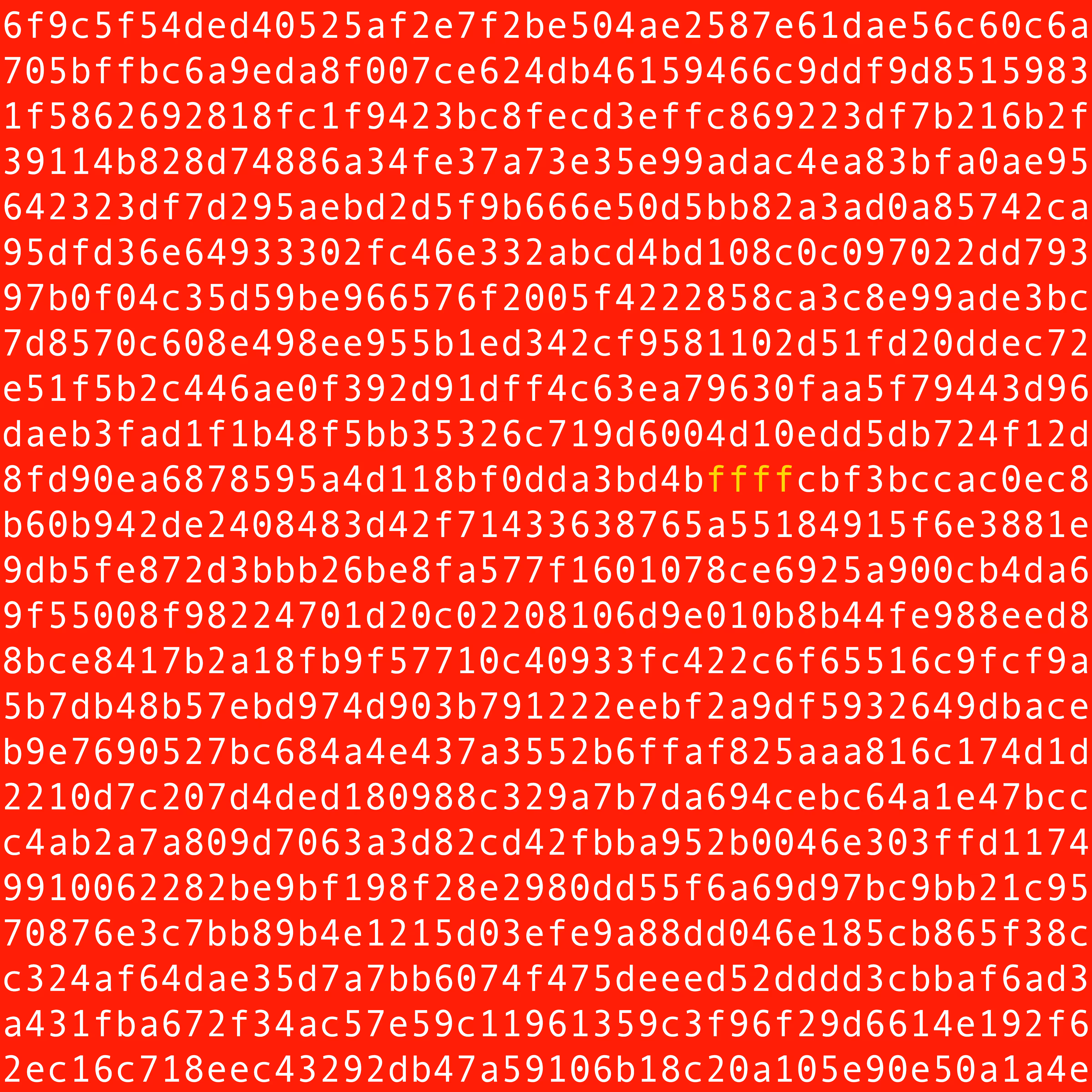 1111 #0305