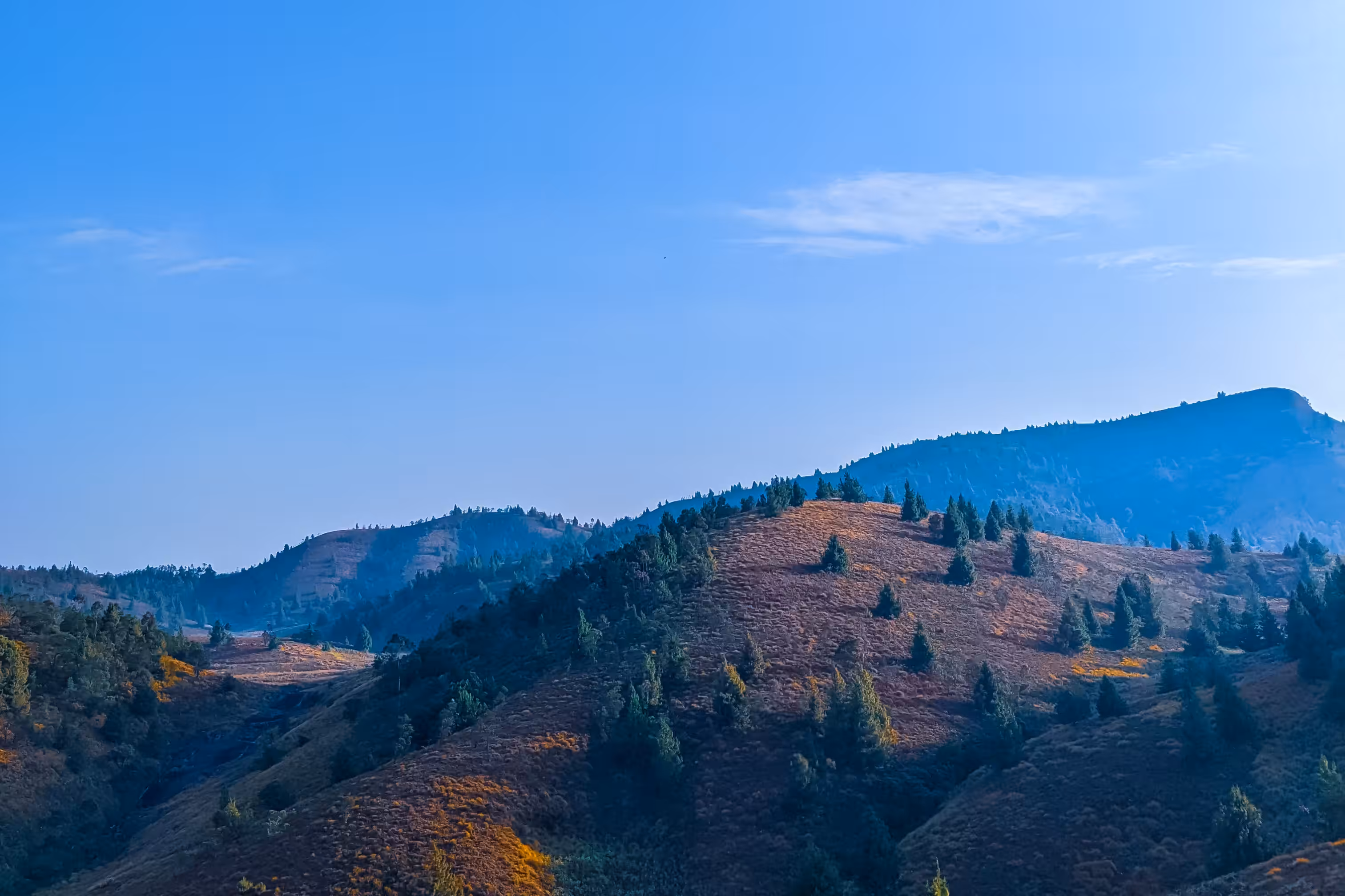 Tranquil Horizon