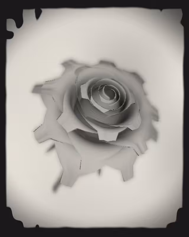 Rose 1851 (bugged) #6