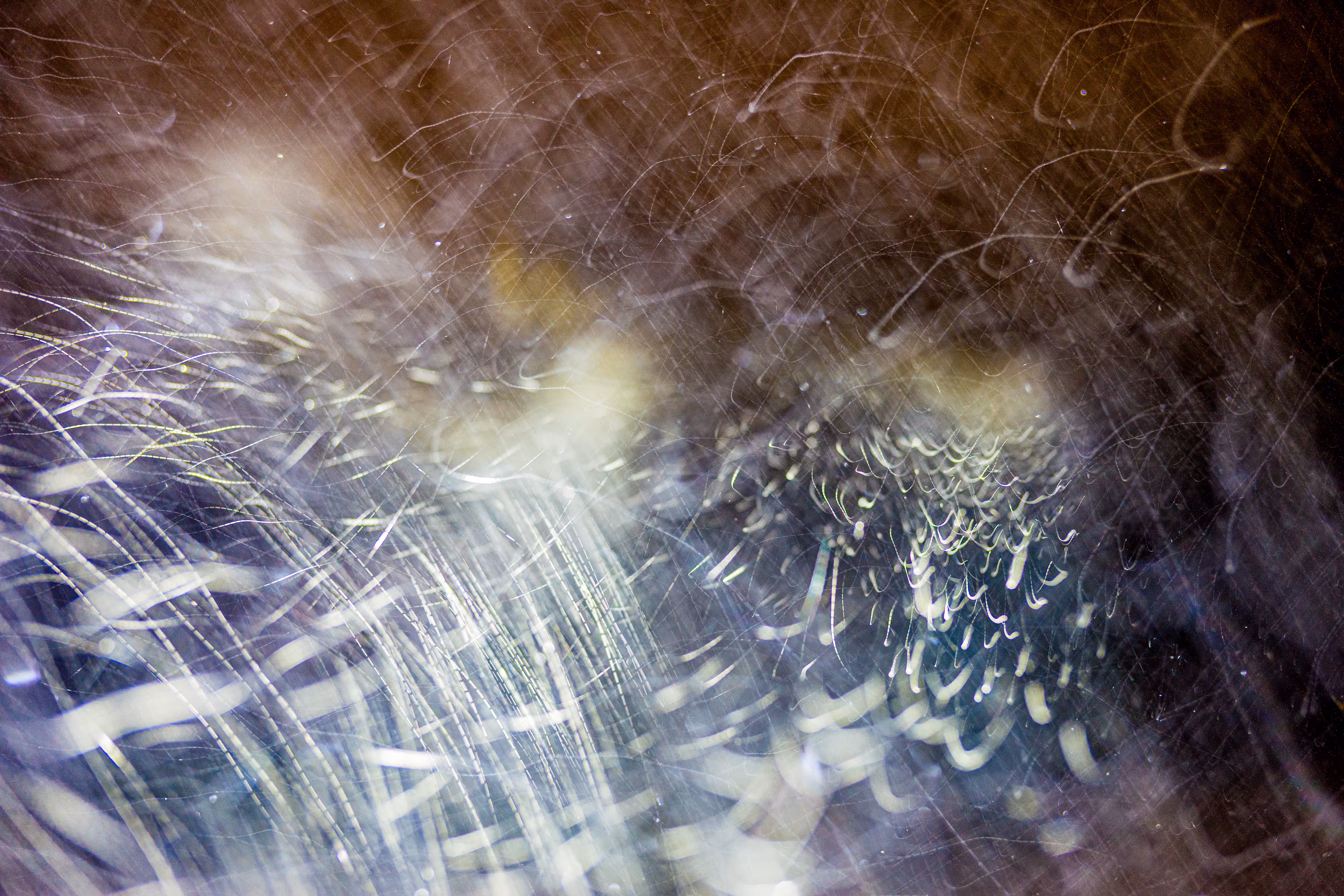 GISELXLIGHTSLURRY: L1210365 : An omen of the skies