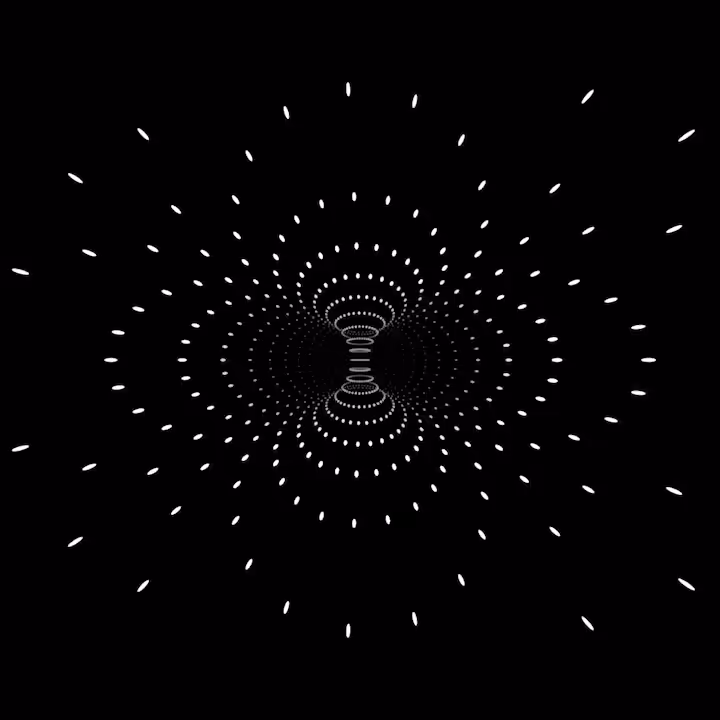 WE ARE ALL LIVING IN A TORUS 