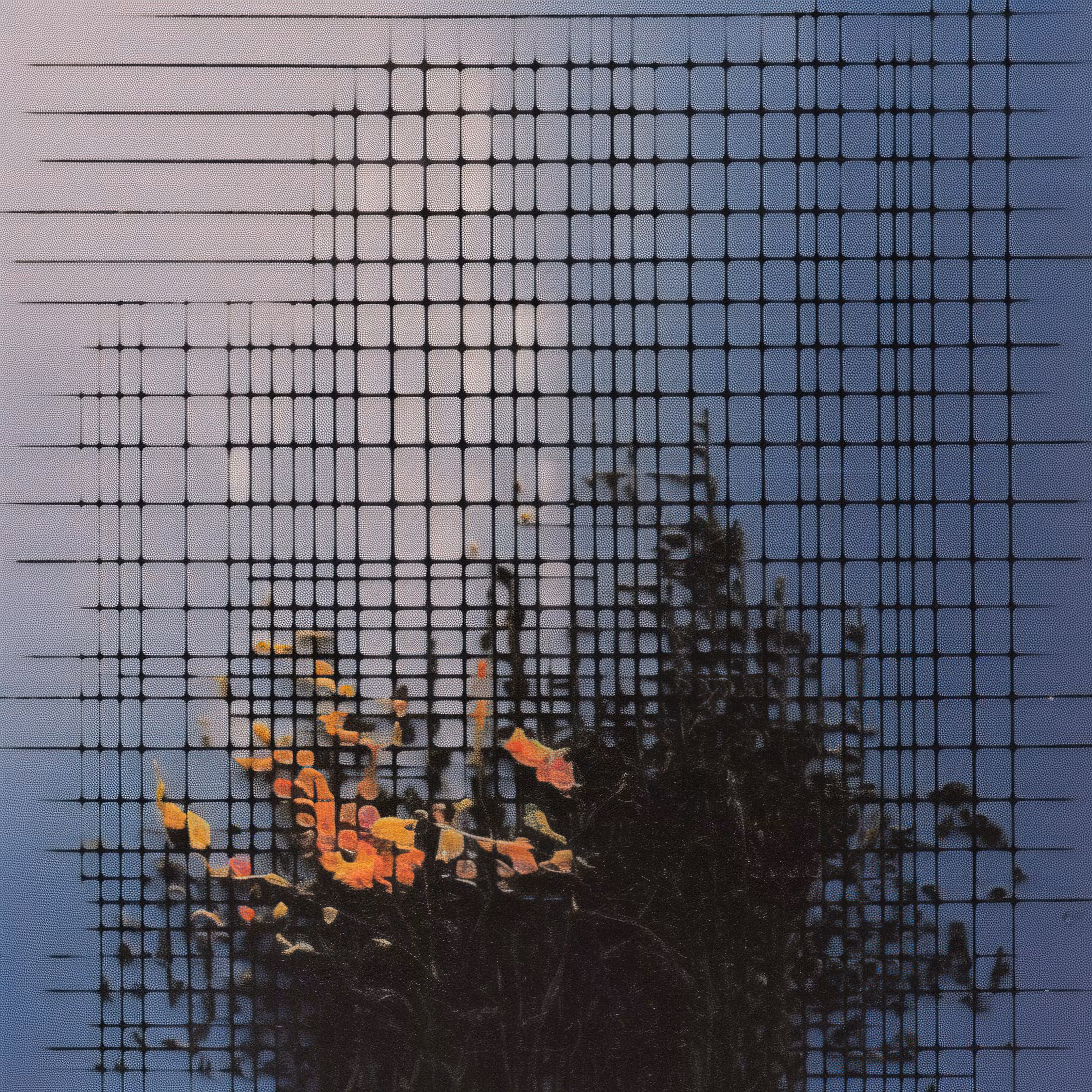 Ordinary reflection