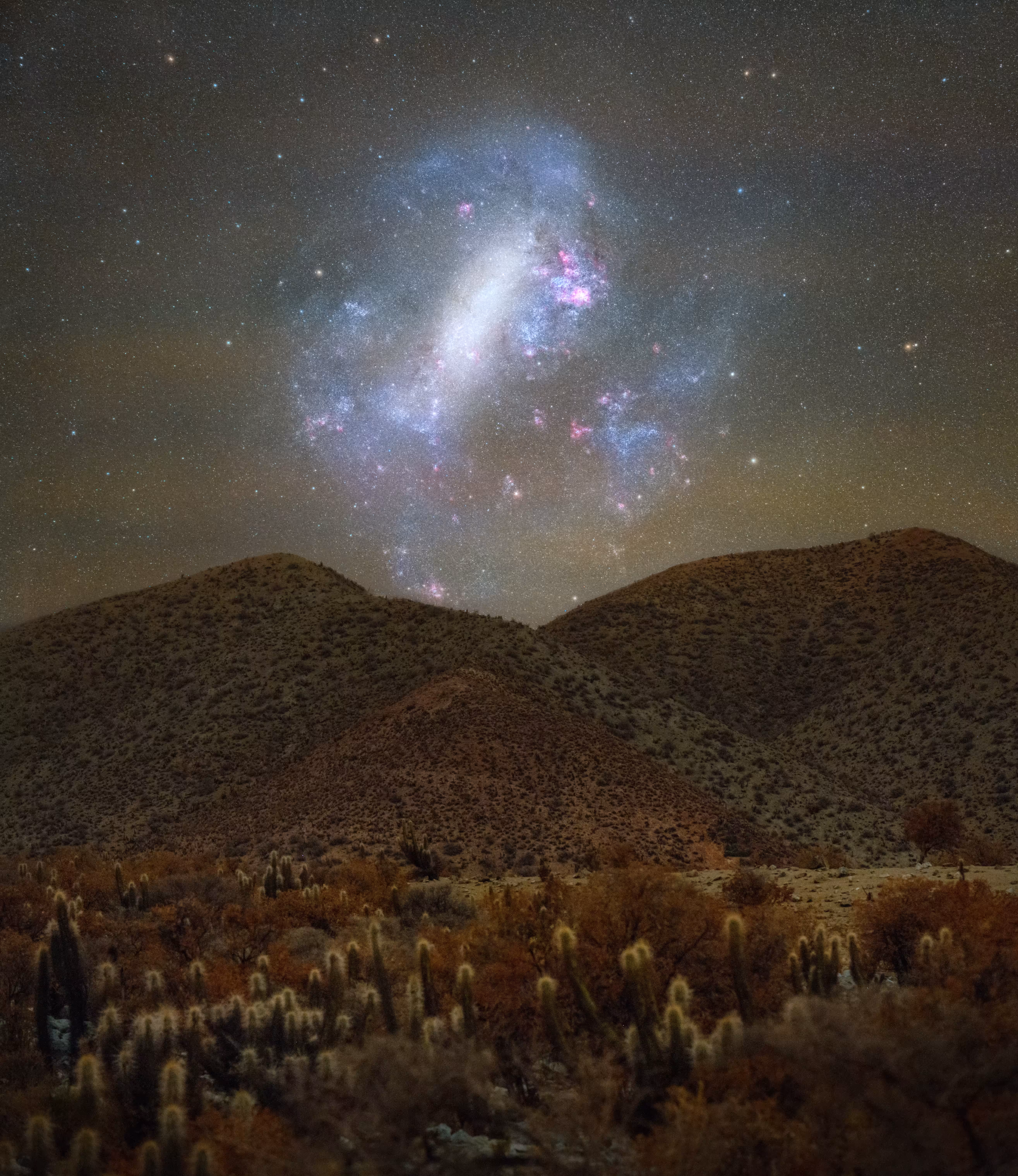 Magellanic Deep Dream