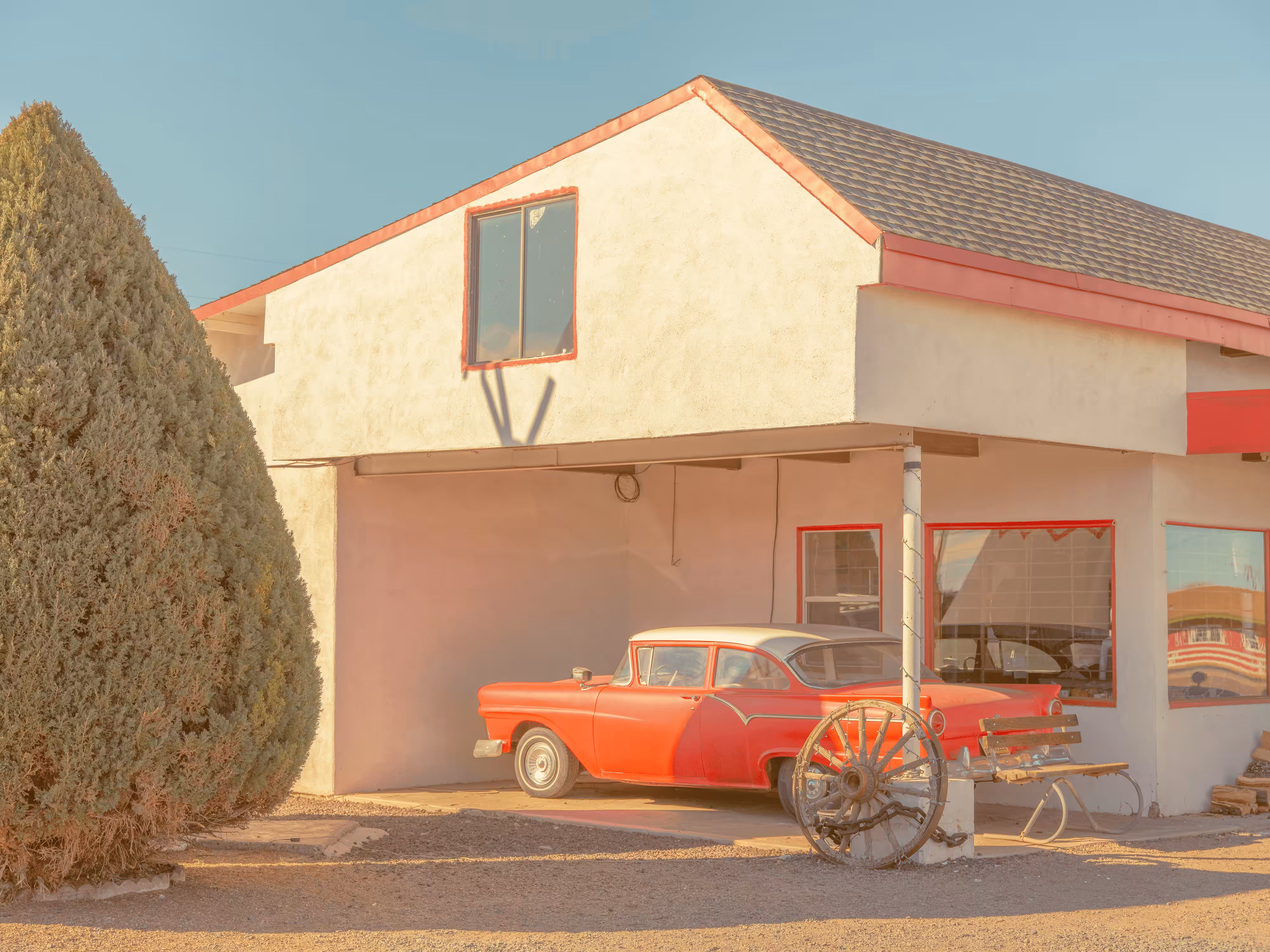 Desert Oddities #12