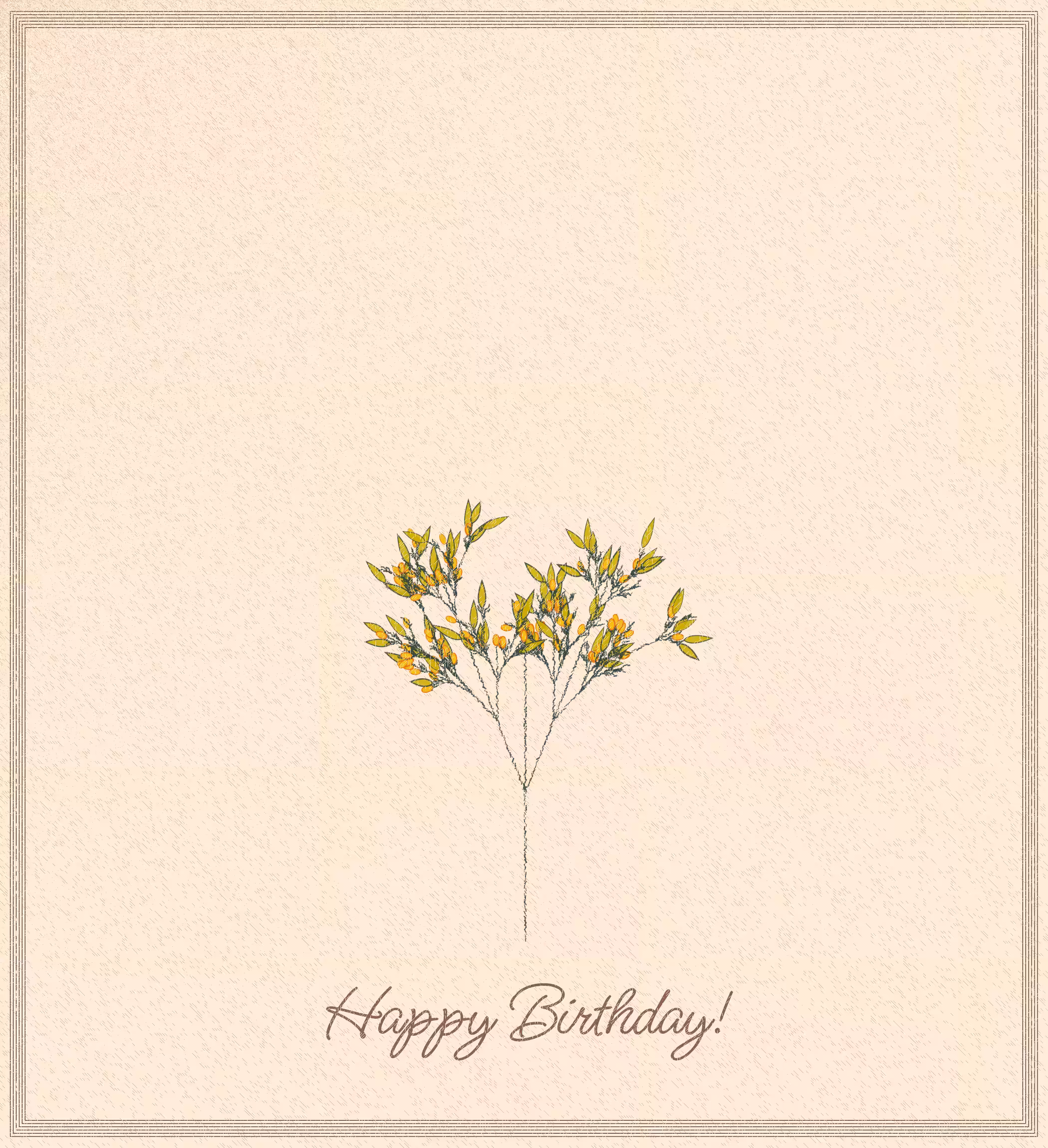 birthday cards #23
