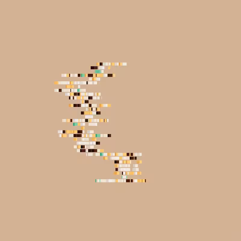 kan #6